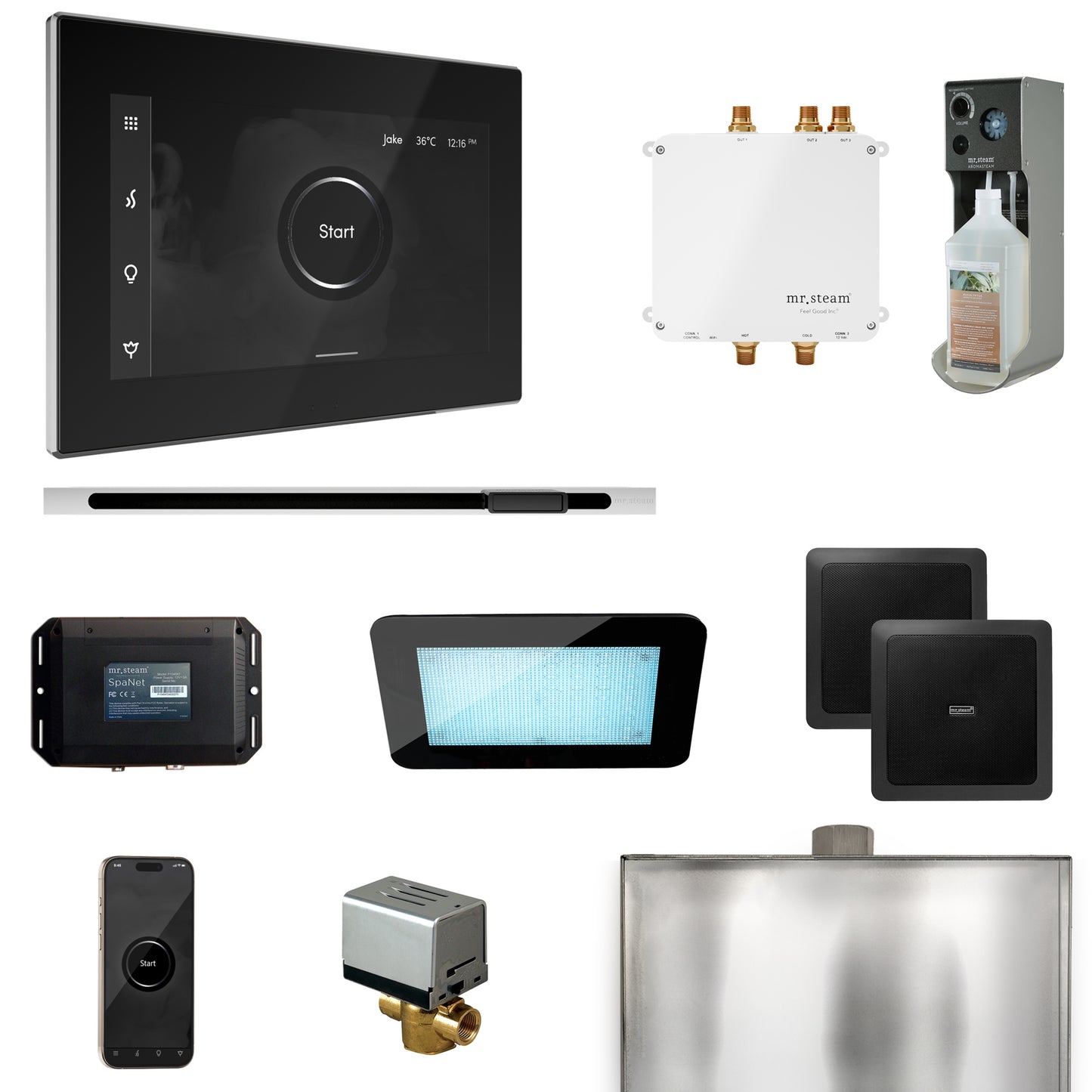 Mr. Steam BLS1-L Bliss Steam Shower Control Package with iSteamX Control and Linear Steamhead