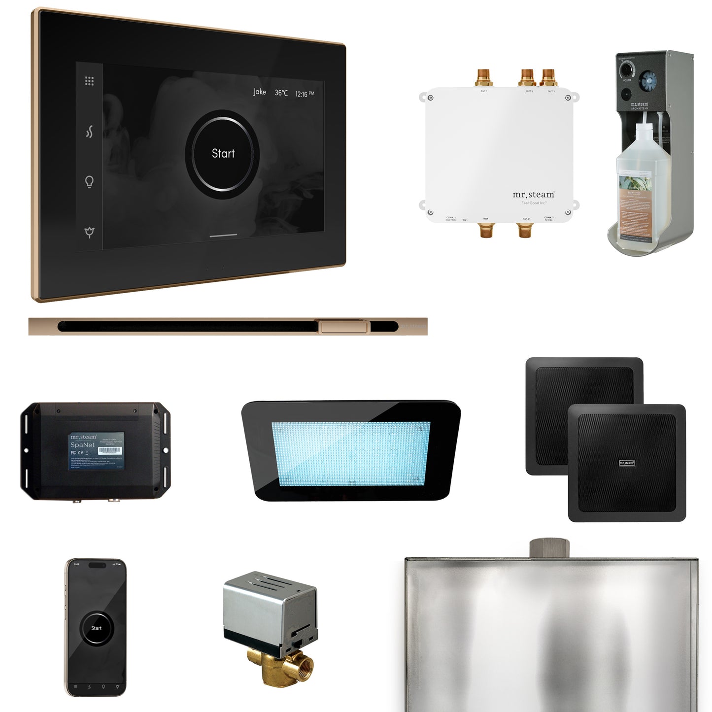 Mr. Steam BLS1-L Bliss Steam Shower Control Package with iSteamX Control and Linear Steamhead
