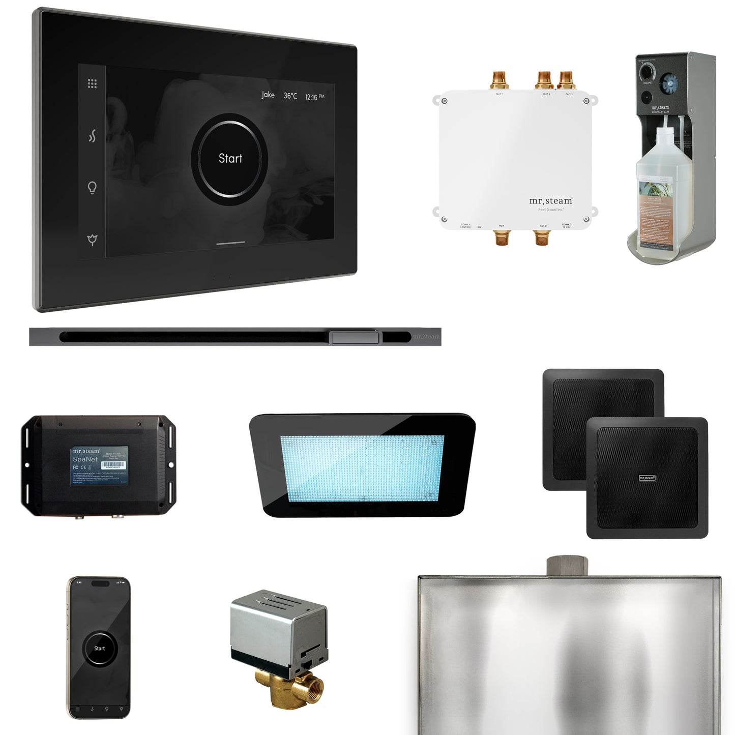Mr. Steam BLS1-L Bliss Steam Shower Control Package with iSteamX Control and Linear Steamhead