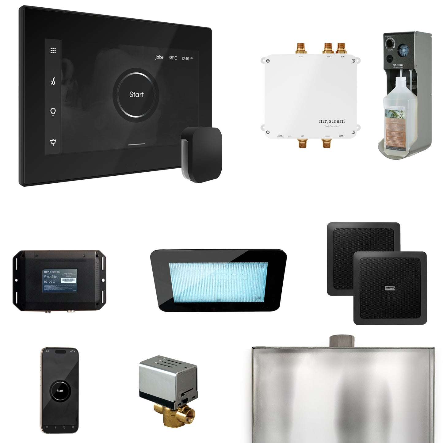 Mr. Steam BLS1 Bliss Steam Shower Control Package with iSteamX Control and Steamhead