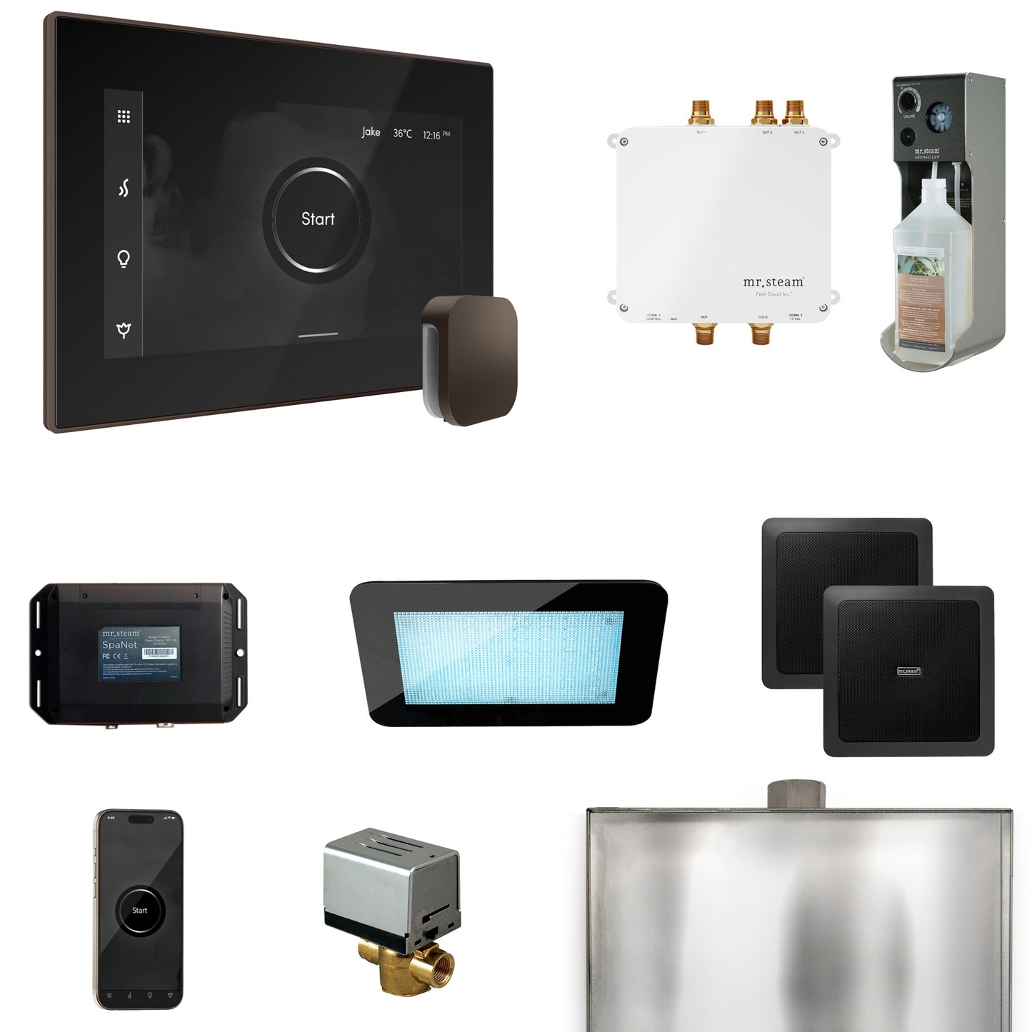 Mr. Steam BLS1 Bliss Steam Shower Control Package with iSteamX Control and Steamhead