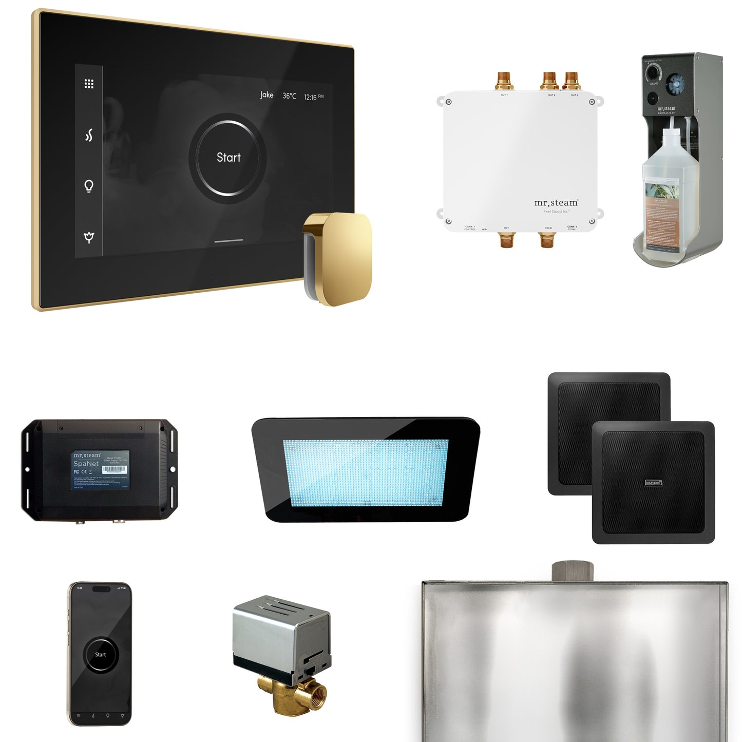 Mr. Steam BLS1 Bliss Steam Shower Control Package with iSteamX Control and Steamhead