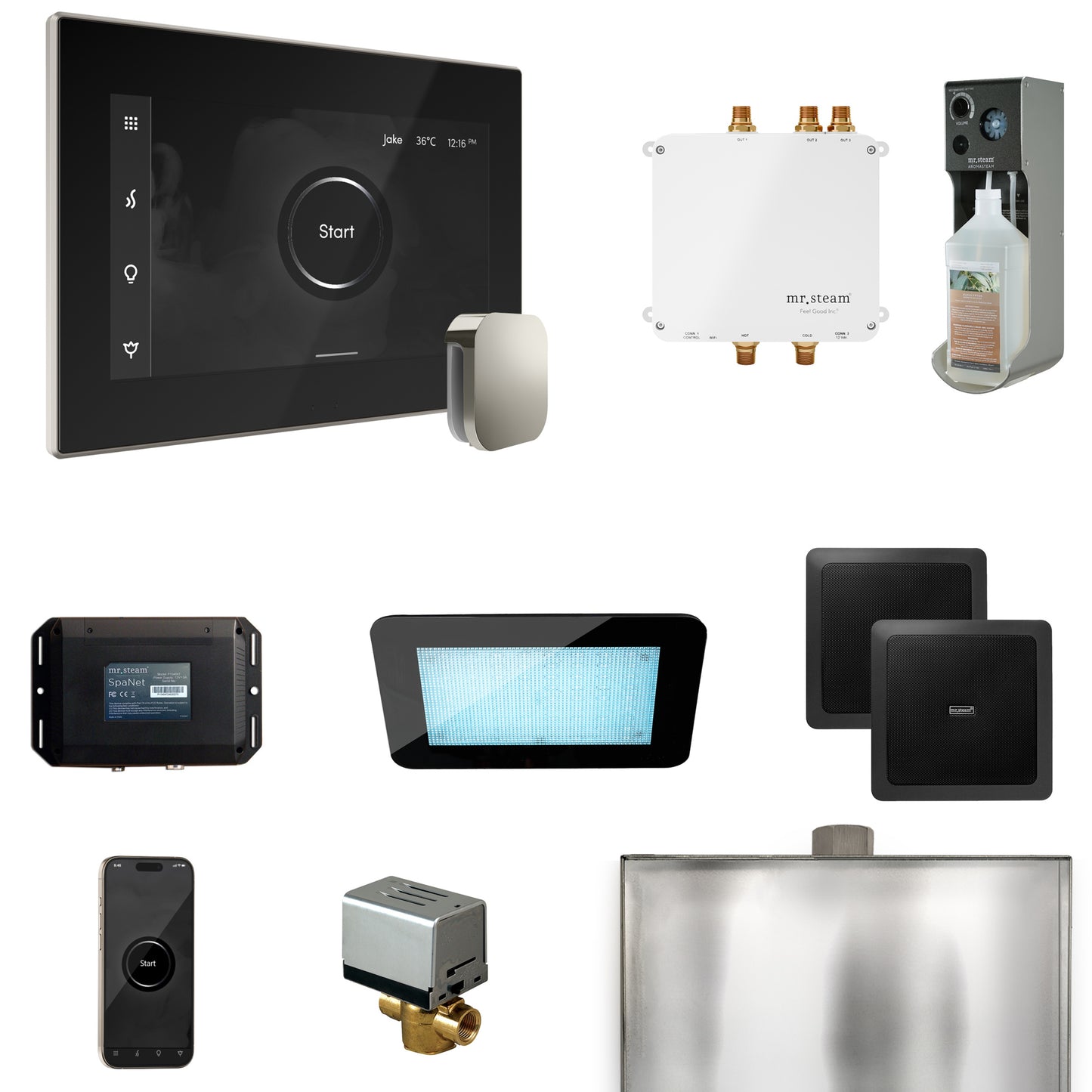 Mr. Steam BLS1 Bliss Steam Shower Control Package with iSteamX Control and Steamhead