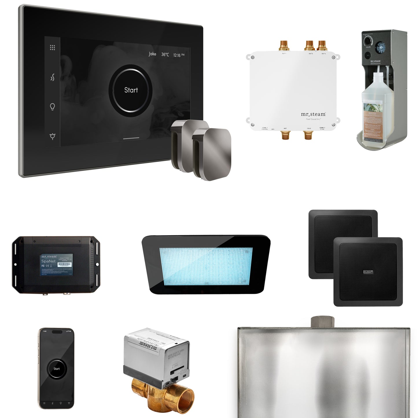 Mr. Steam BLS1-X Bliss Max Steam Shower Control Package with iSteamX Control and Steamhead