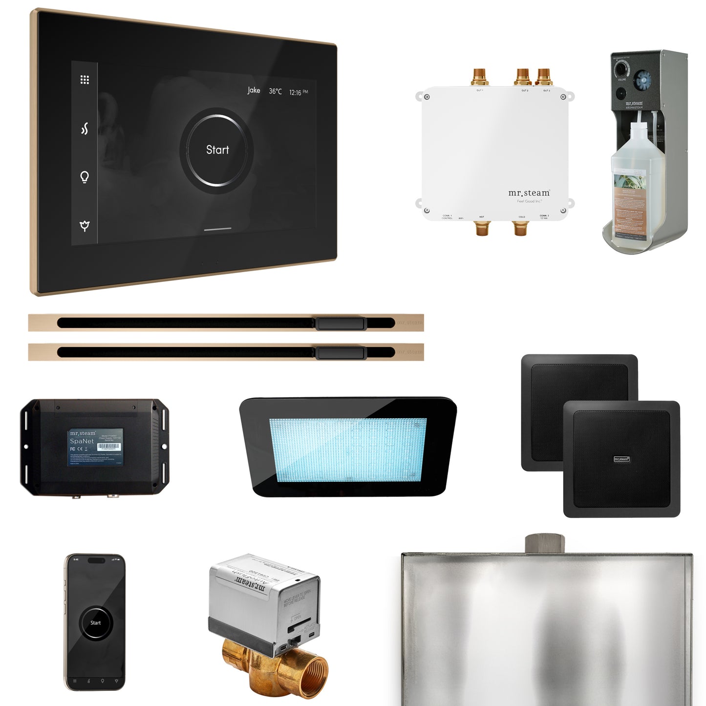 Mr. Steam BLS1-XL Bliss Max Steam Shower Control Package with iSteamX Control and Linear Steamhead - Parent