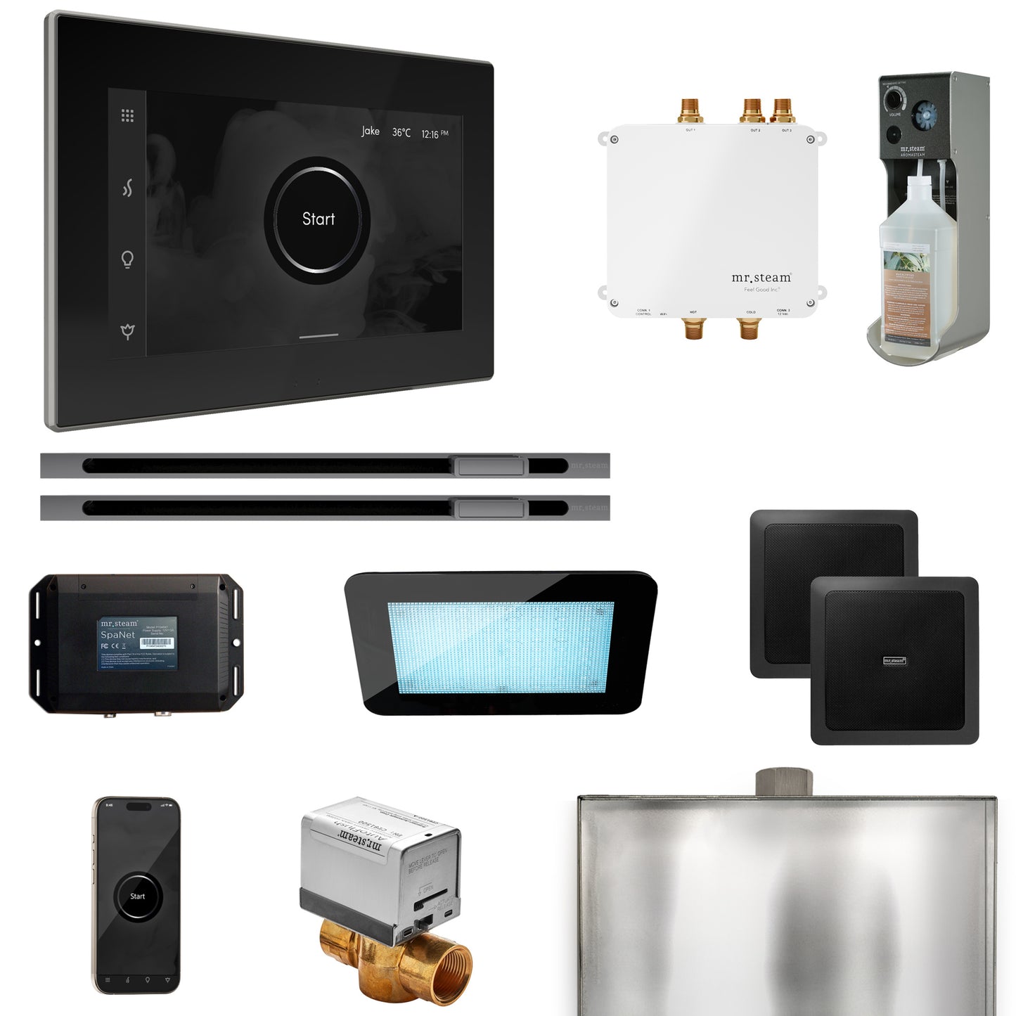 Mr. Steam BLS1-XL Bliss Max Steam Shower Control Package with iSteamX Control and Linear Steamhead