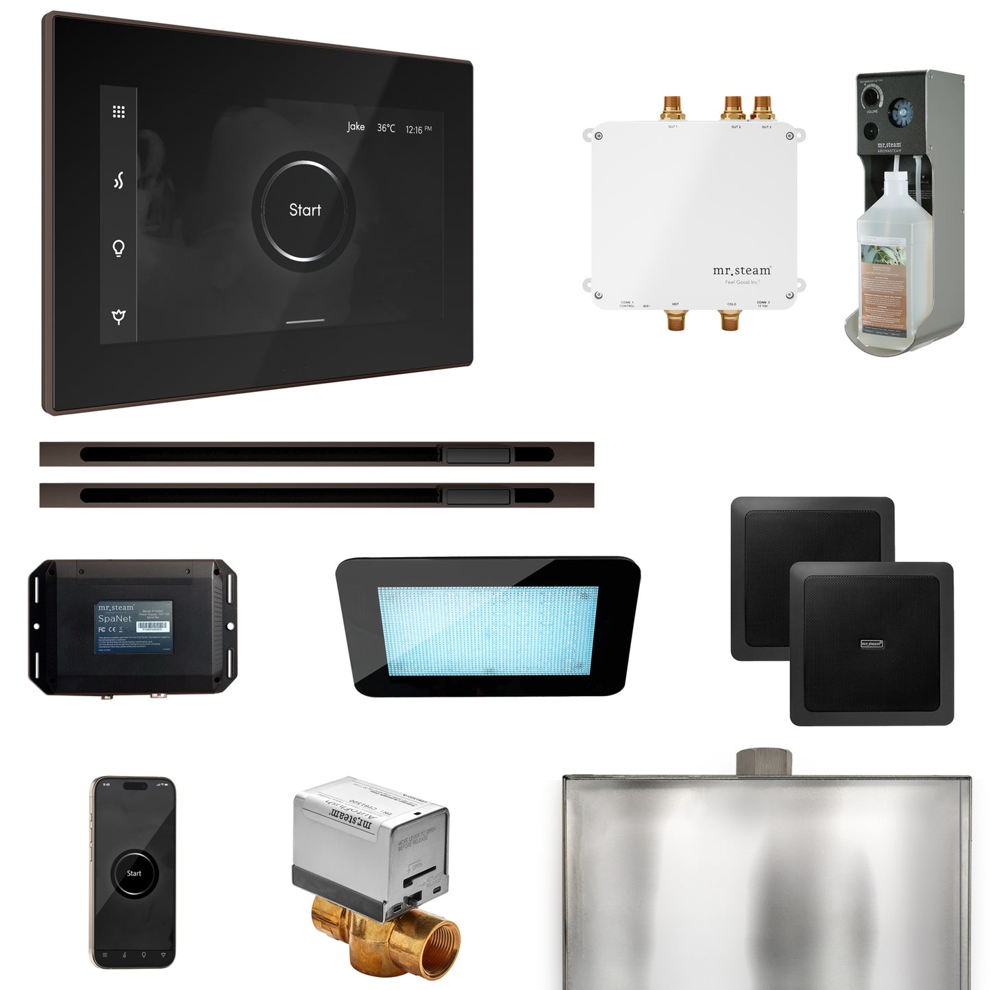 Mr. Steam BLS1-XL Bliss Max Steam Shower Control Package with iSteamX Control and Linear Steamhead
