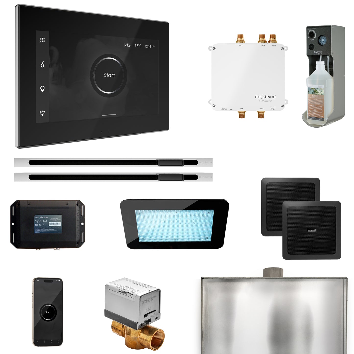 Mr. Steam BLS1-XL Bliss Max Steam Shower Control Package with iSteamX Control and Linear Steamhead