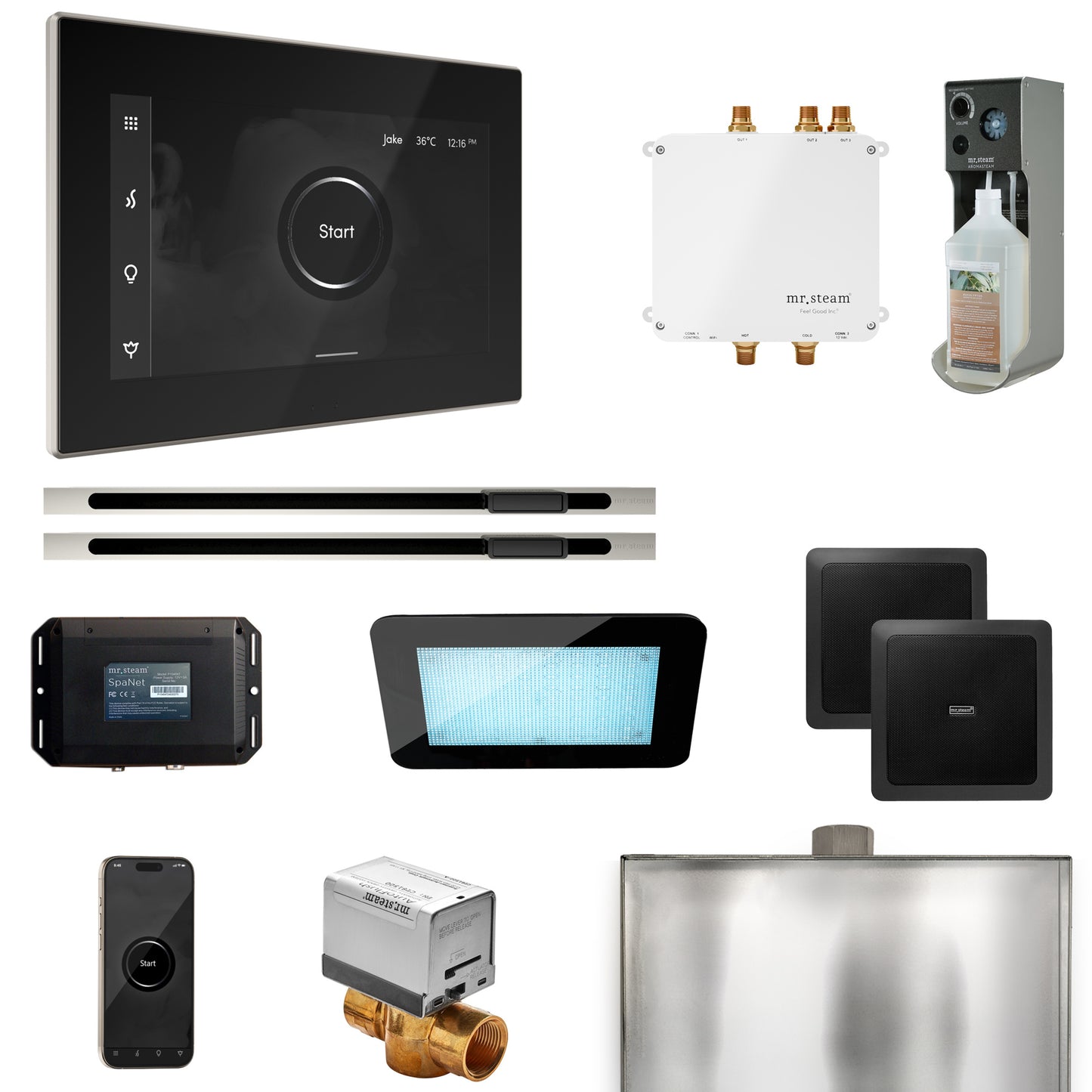 Mr. Steam BLS1-XL Bliss Max Steam Shower Control Package with iSteamX Control and Linear Steamhead