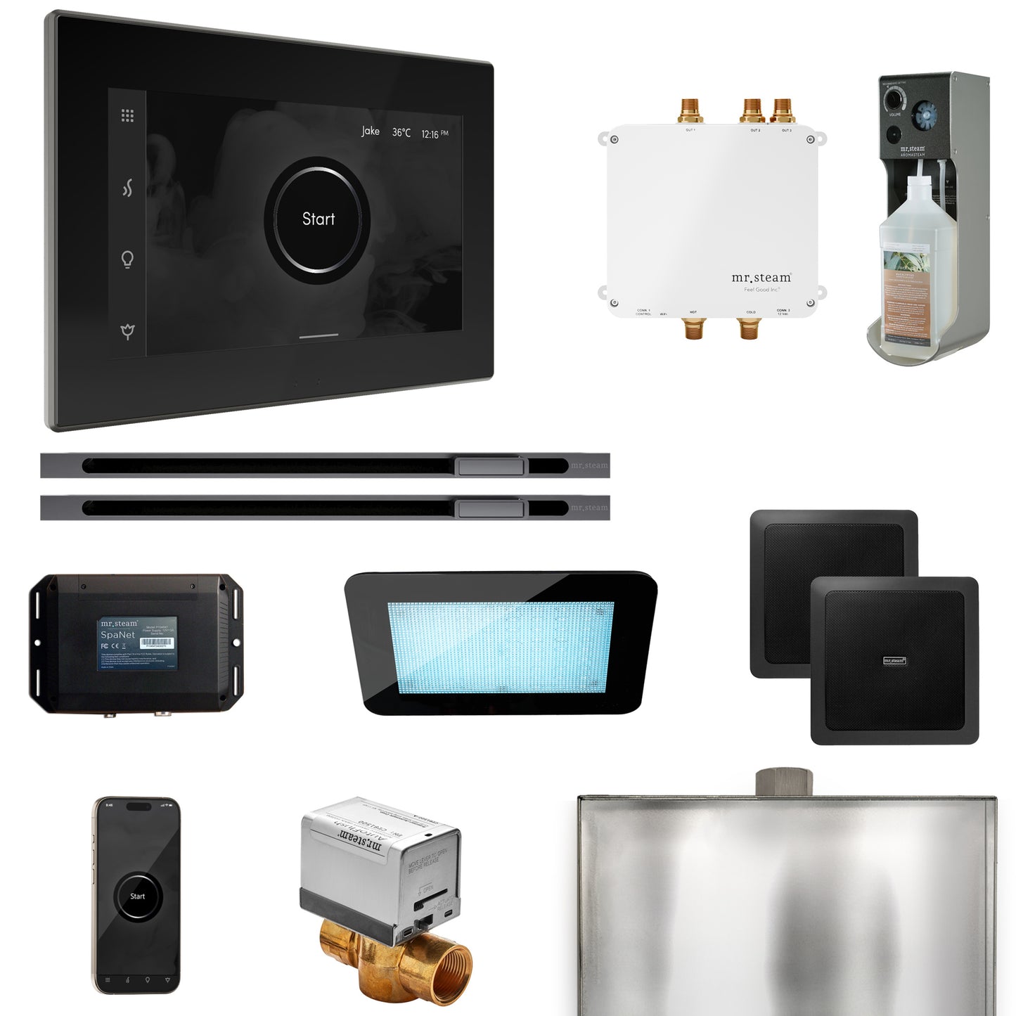 Mr. Steam BLS1-XL Bliss Max Steam Shower Control Package with iSteamX Control and Linear Steamhead