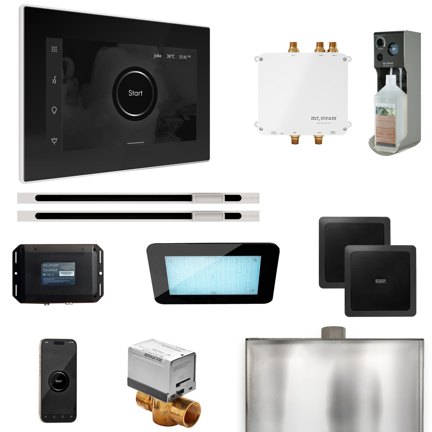 Mr. Steam BLS1-XL Bliss Max Steam Shower Control Package with iSteamX Control and Linear Steamhead