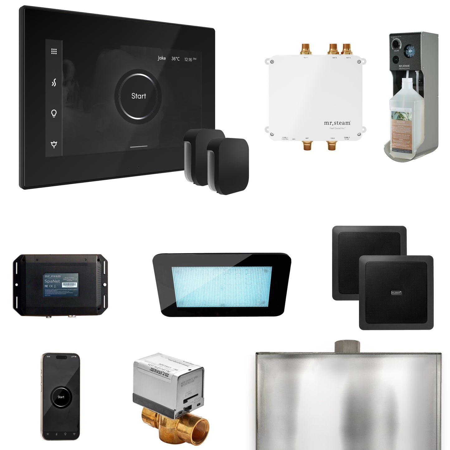 Mr. Steam BLS1-X Bliss Max Steam Shower Control Package with iSteamX Control and Steamhead