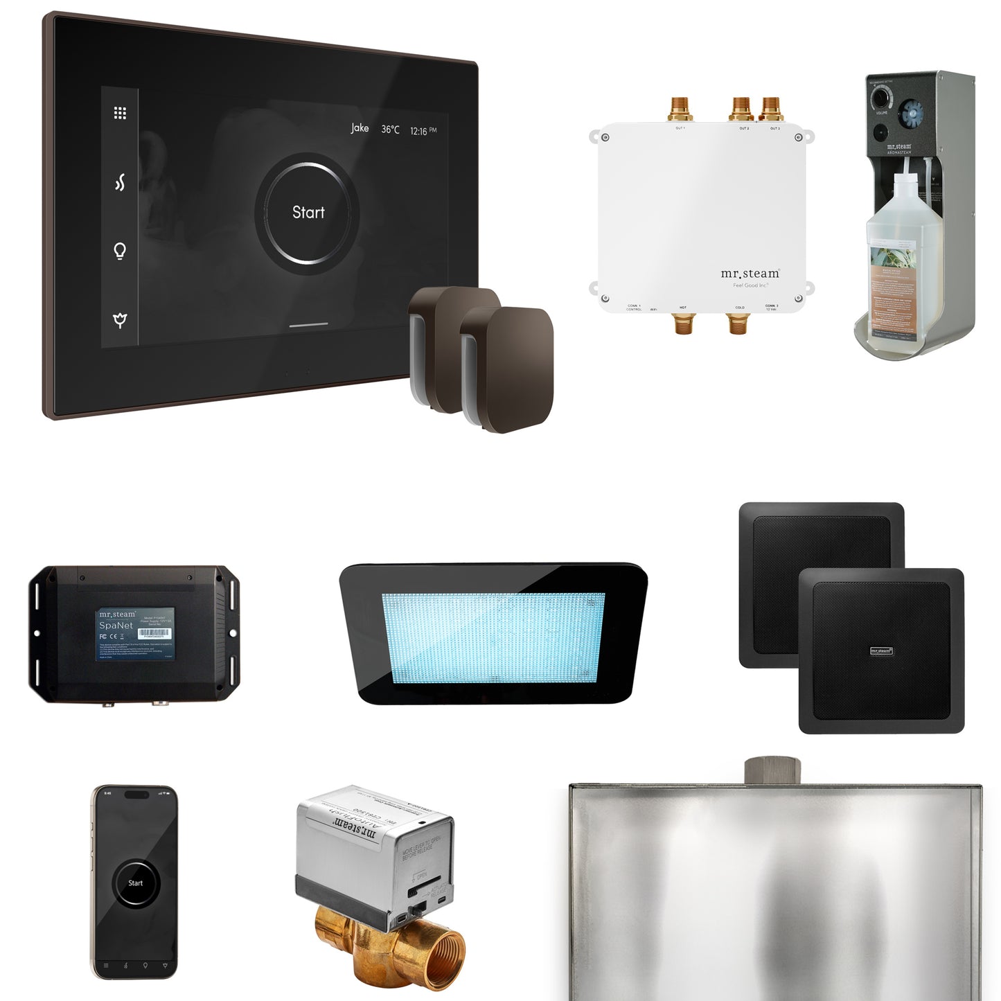 Mr. Steam BLS1-X Bliss Max Steam Shower Control Package with iSteamX Control and Steamhead