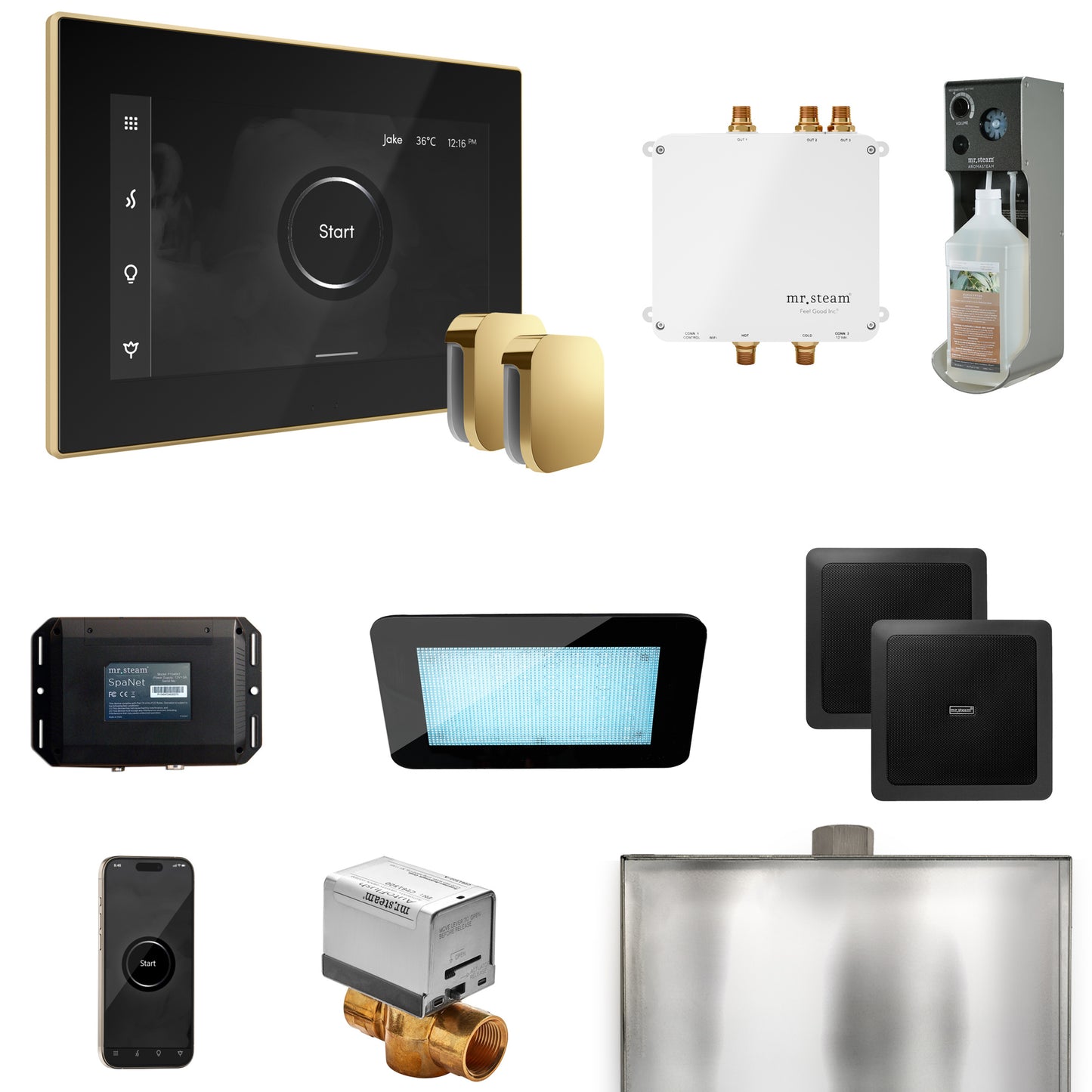 Mr. Steam BLS1-X Bliss Max Steam Shower Control Package with iSteamX Control and Steamhead