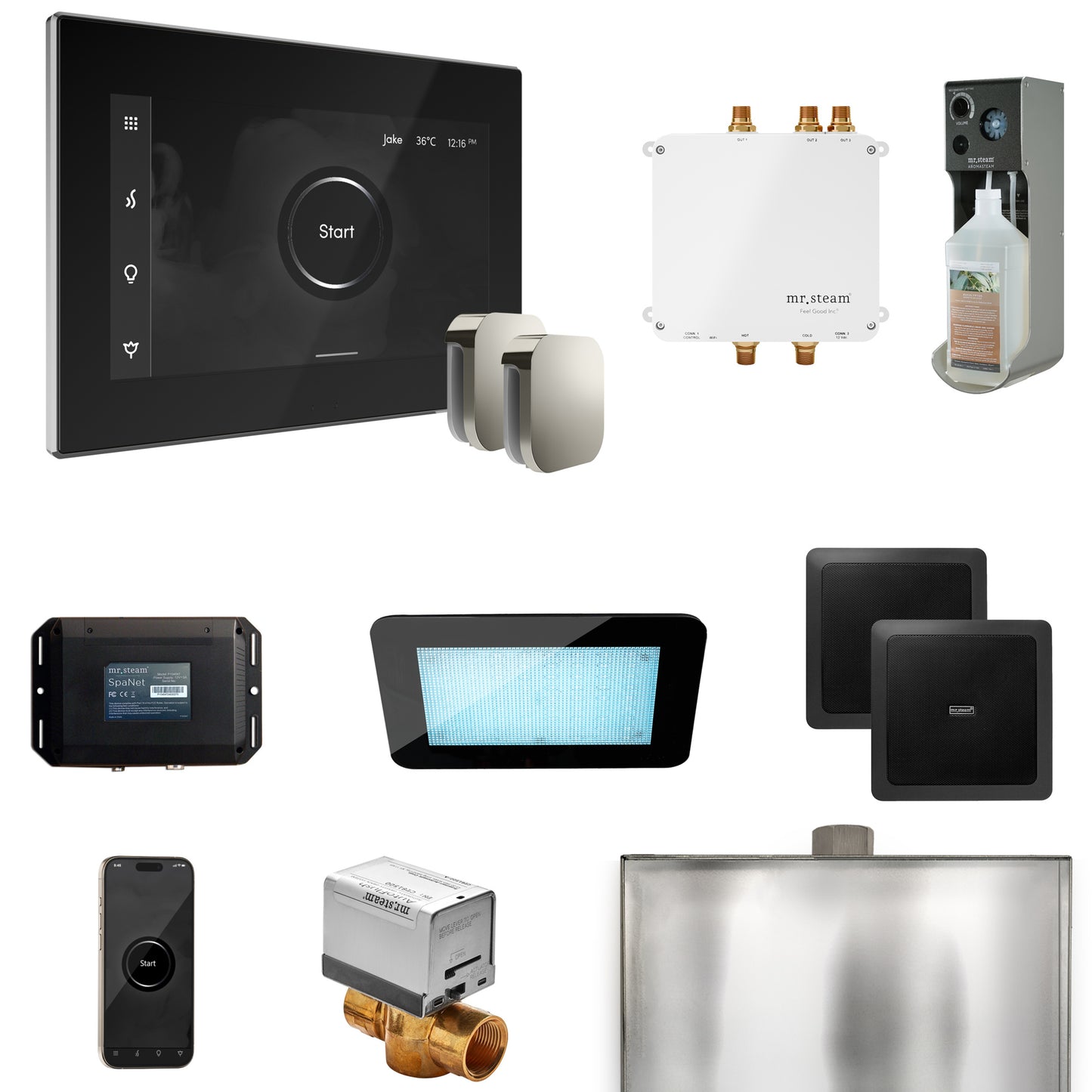 Mr. Steam BLS1-X Bliss Max Steam Shower Control Package with iSteamX Control and Steamhead