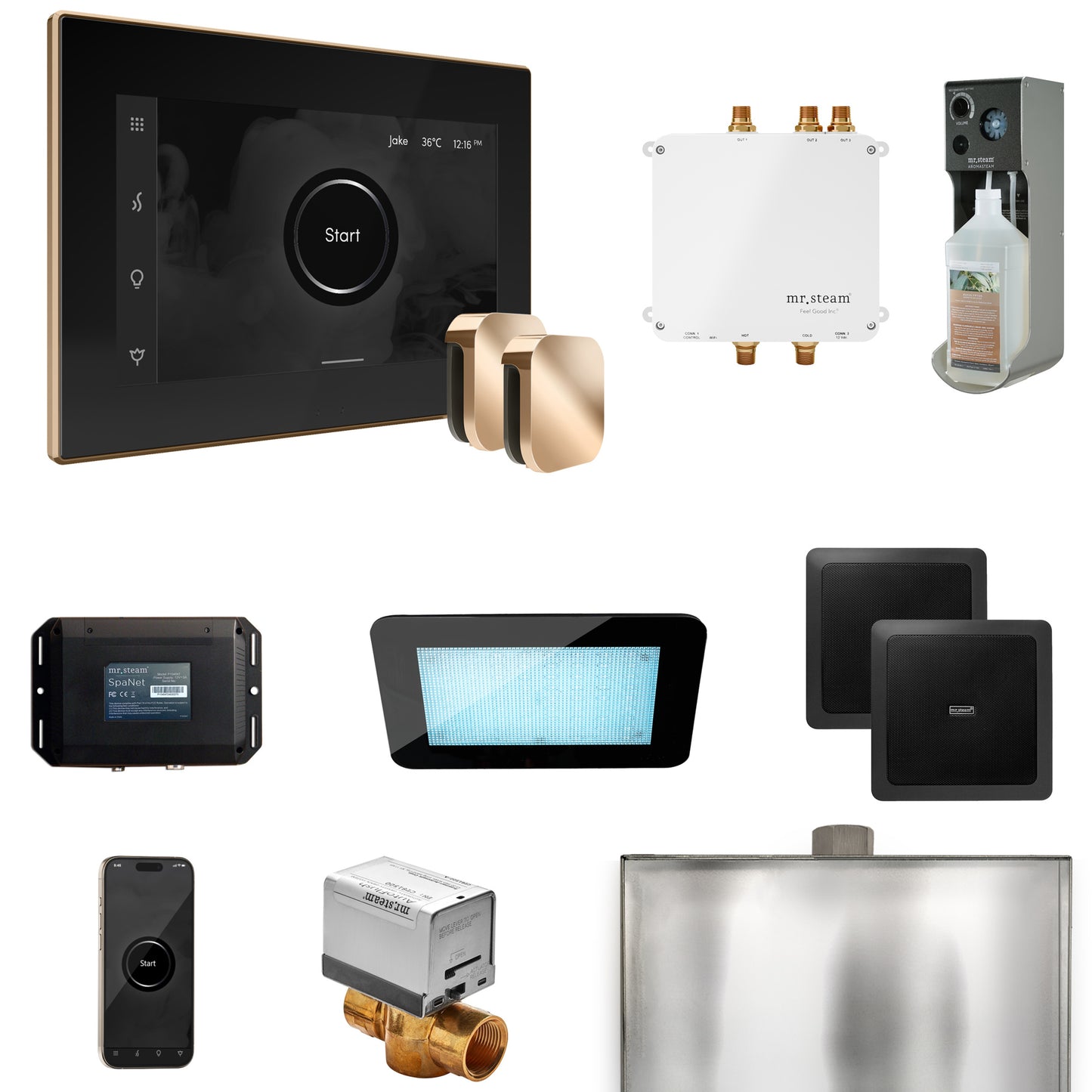 Mr. Steam BLS1-X Bliss Max Steam Shower Control Package with iSteamX Control and Steamhead