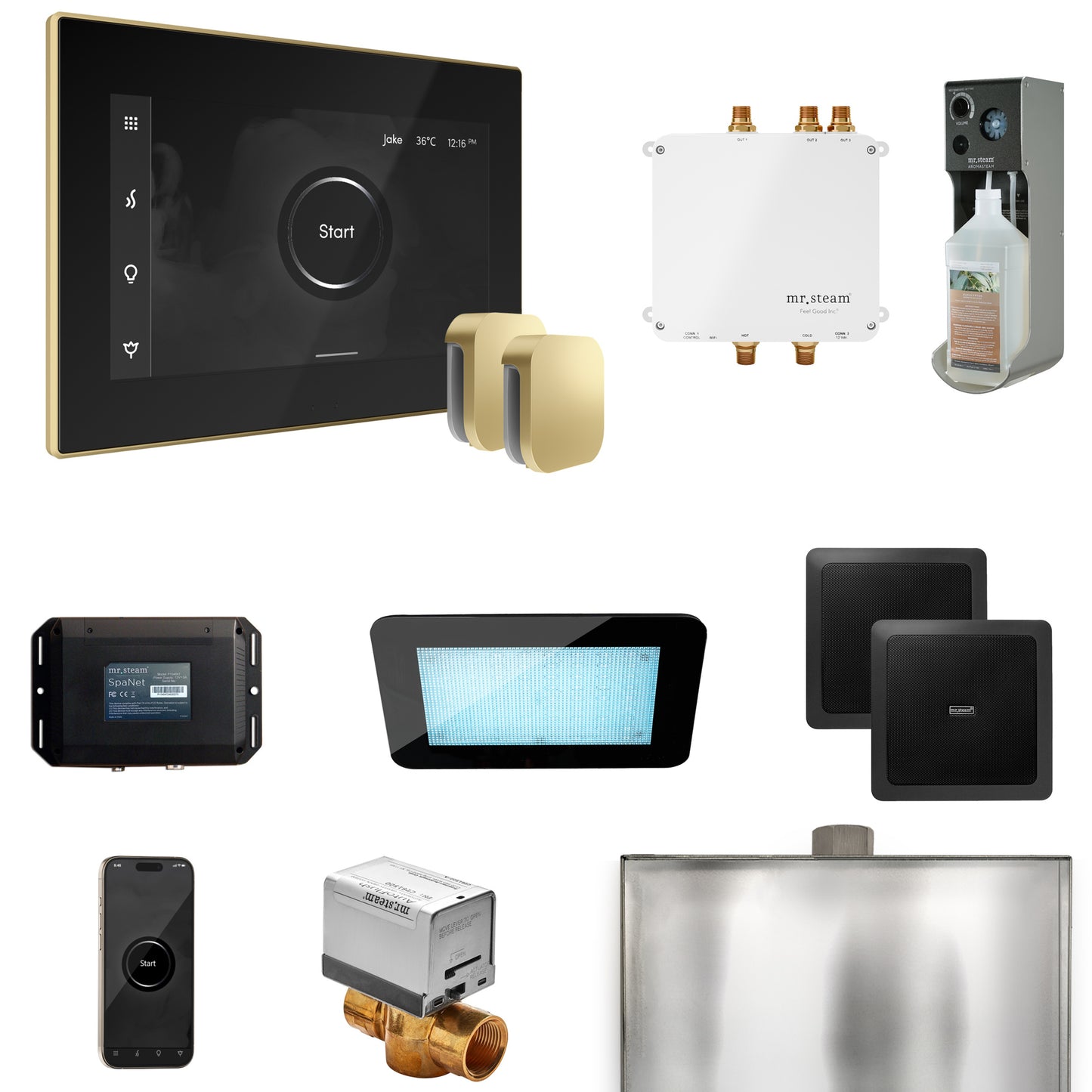 Mr. Steam BLS1-X Bliss Max Steam Shower Control Package with iSteamX Control and Steamhead