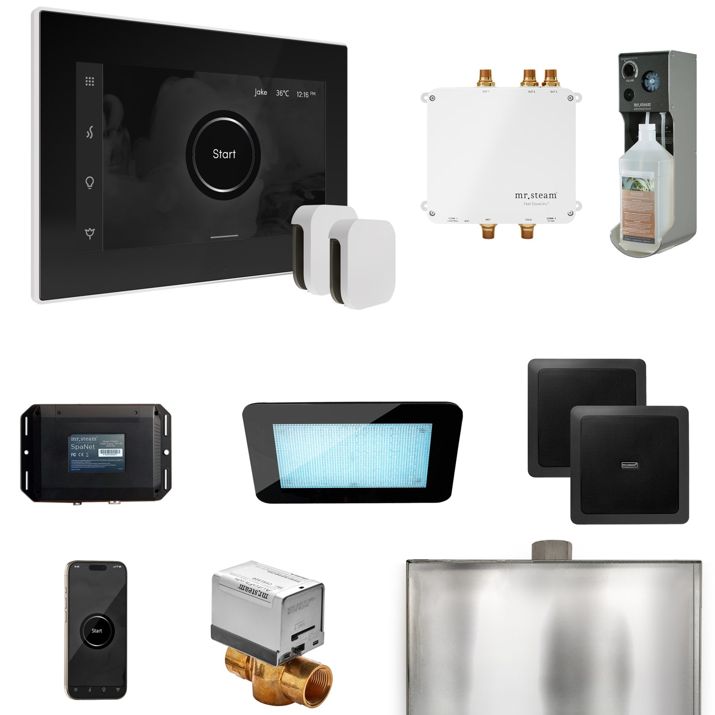 Mr. Steam BLS1-X Bliss Max Steam Shower Control Package with iSteamX Control and Steamhead