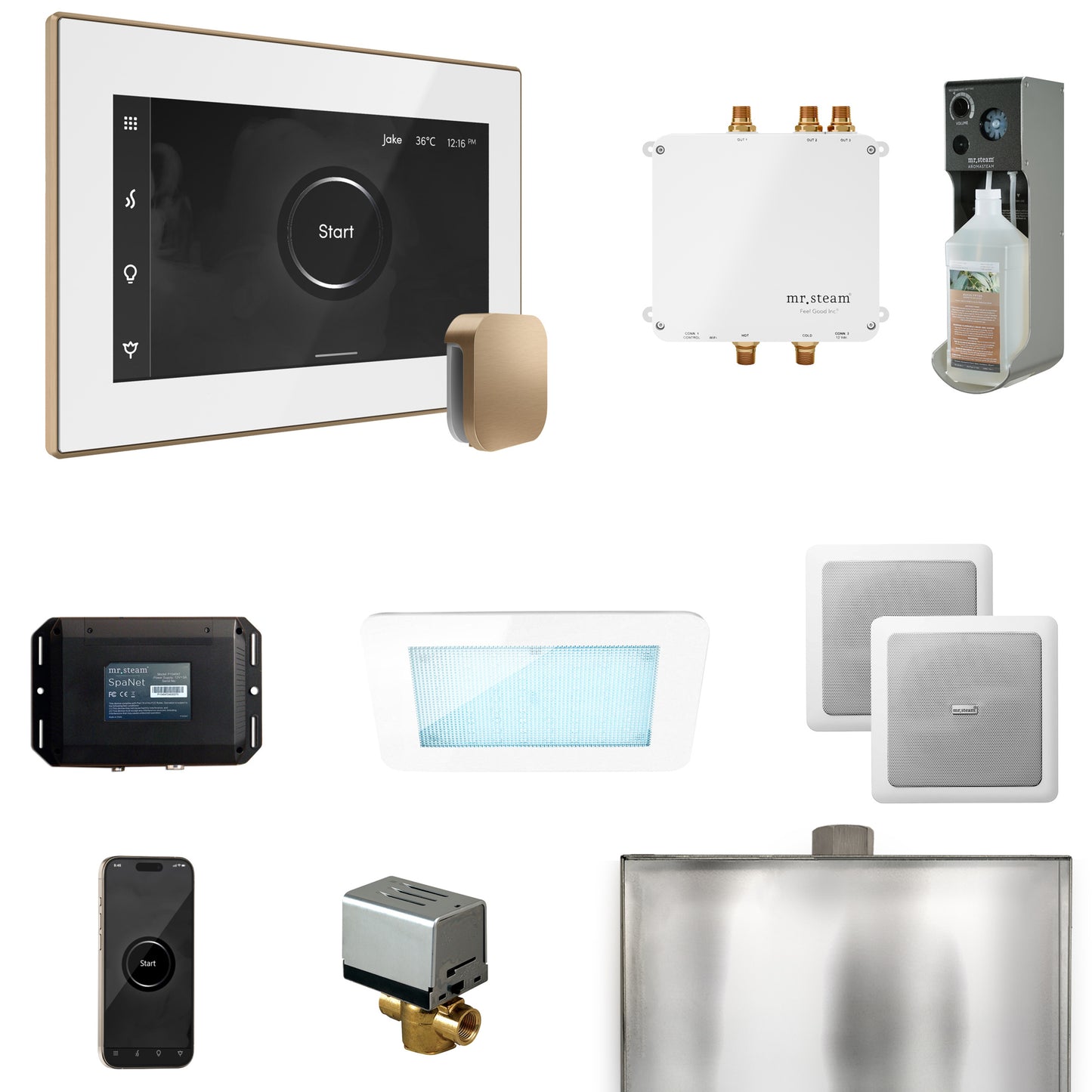 Mr. Steam BLS1 Bliss Steam Shower Control Package with iSteamX Control and Steamhead