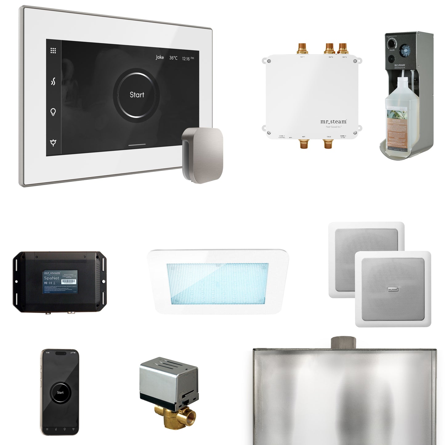 Mr. Steam BLS1 Bliss Steam Shower Control Package with iSteamX Control and Steamhead