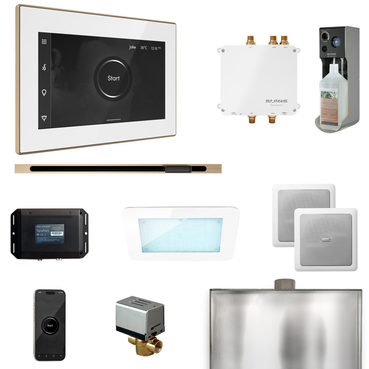 Mr. Steam BLS1-L Bliss Steam Shower Control Package with iSteamX Control and Linear Steamhead
