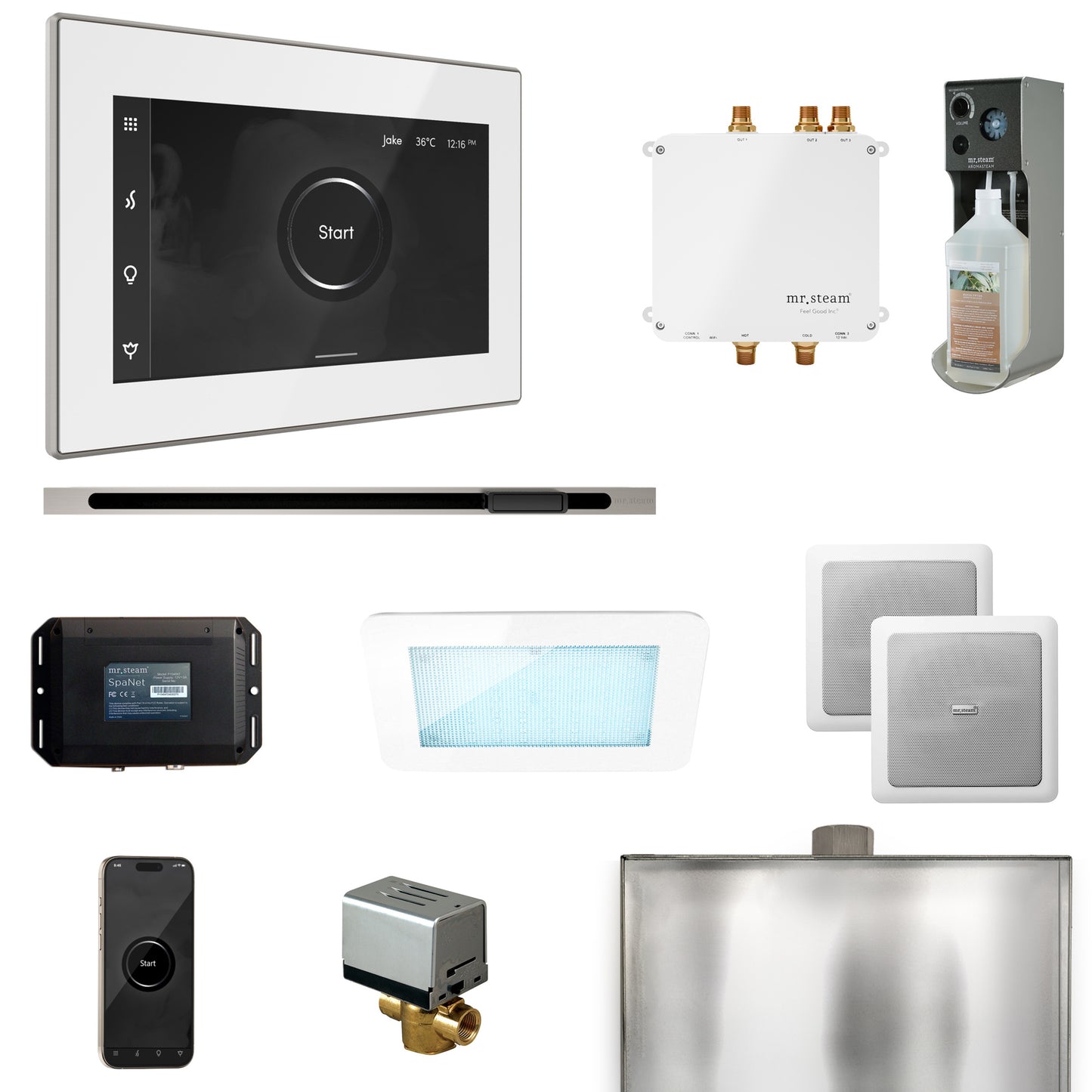 Mr. Steam BLS1-L Bliss Steam Shower Control Package with iSteamX Control and Linear Steamhead