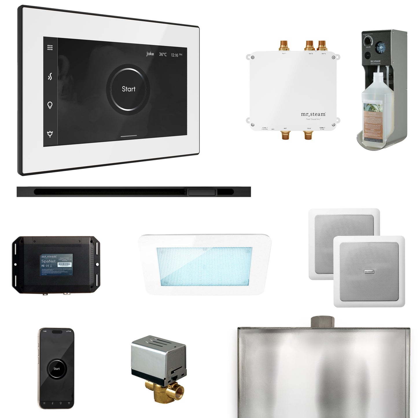 Mr. Steam BLS1-L Bliss Steam Shower Control Package with iSteamX Control and Linear Steamhead