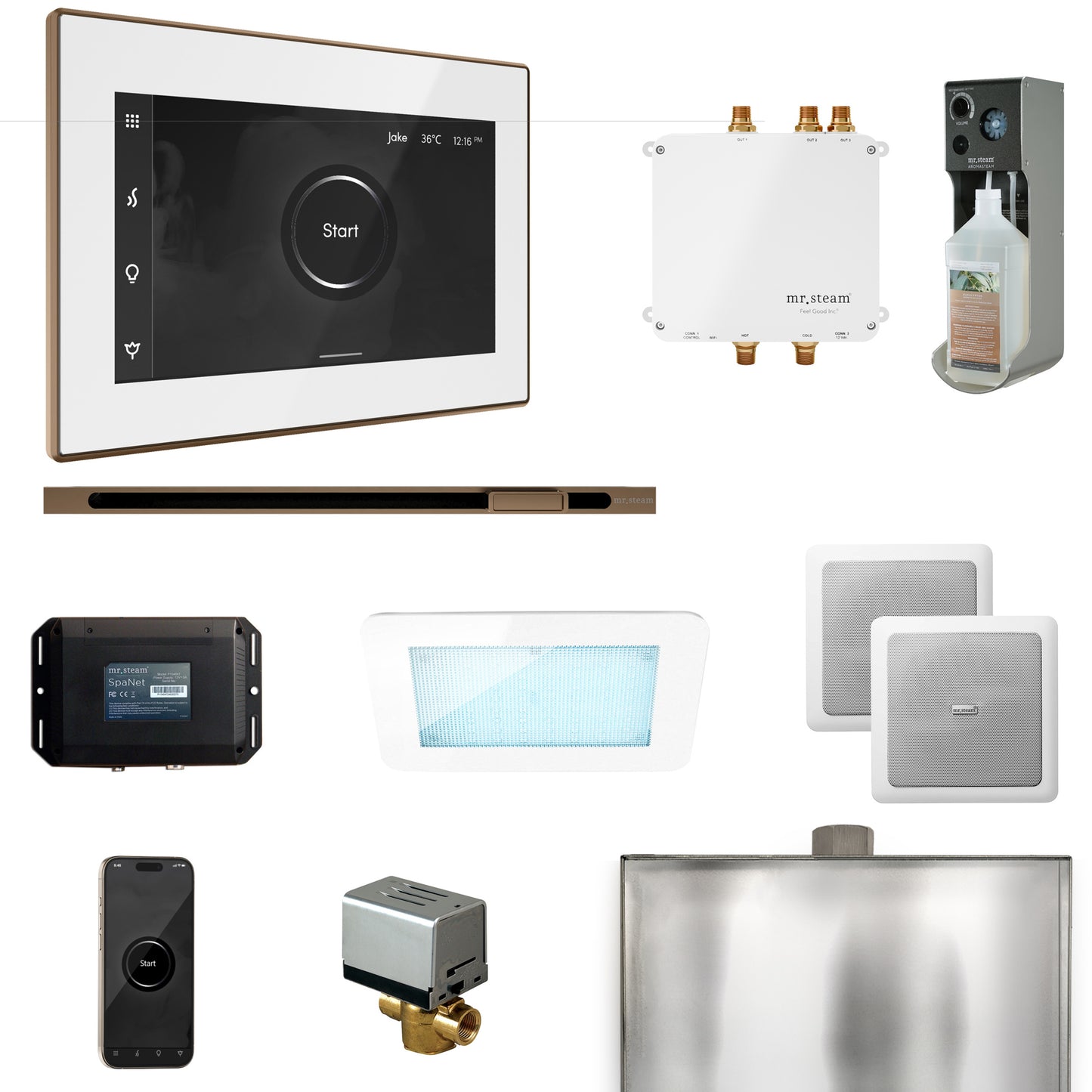 Mr. Steam BLS1-L Bliss Steam Shower Control Package with iSteamX Control and Linear Steamhead