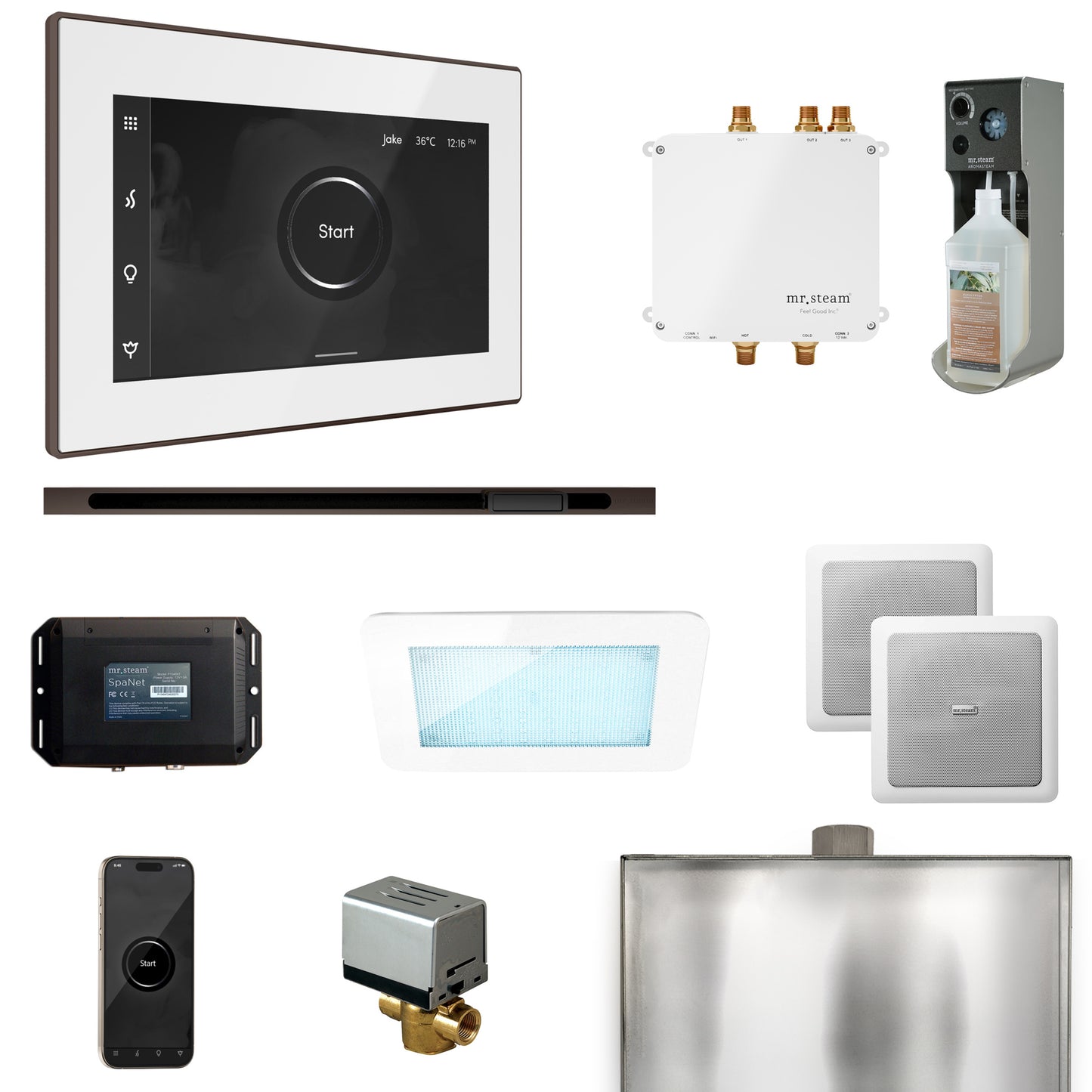 Mr. Steam BLS1-L Bliss Steam Shower Control Package with iSteamX Control and Linear Steamhead