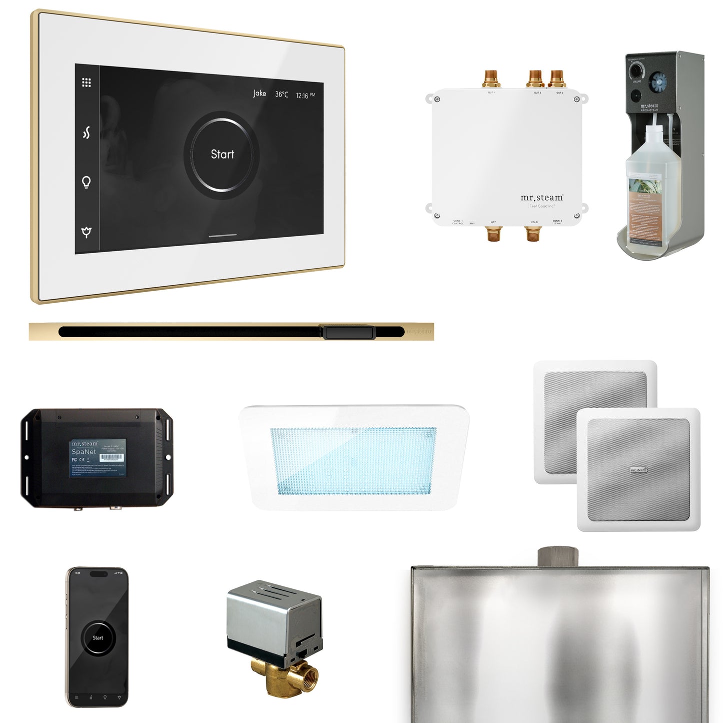 Mr. Steam BLS1-L Bliss Steam Shower Control Package with iSteamX Control and Linear Steamhead