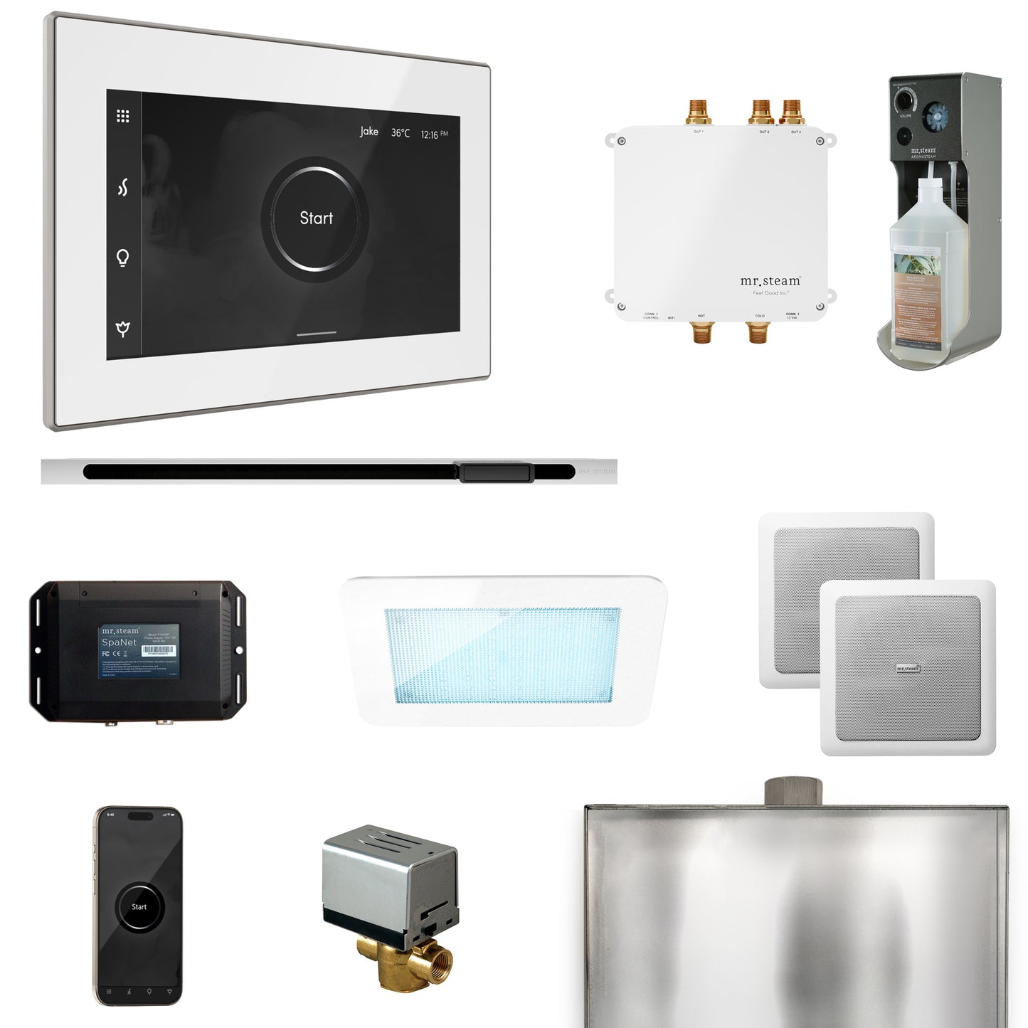Mr. Steam BLS1-L Bliss Steam Shower Control Package with iSteamX Control and Linear Steamhead
