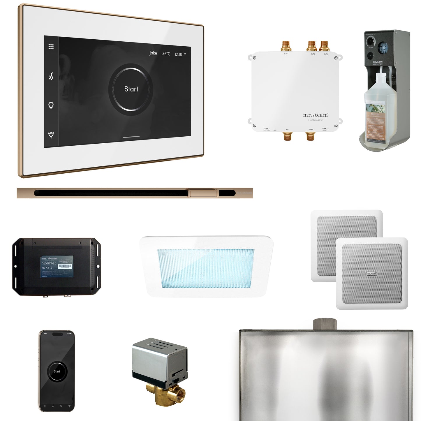 Mr. Steam BLS1-L Bliss Steam Shower Control Package with iSteamX Control and Linear Steamhead