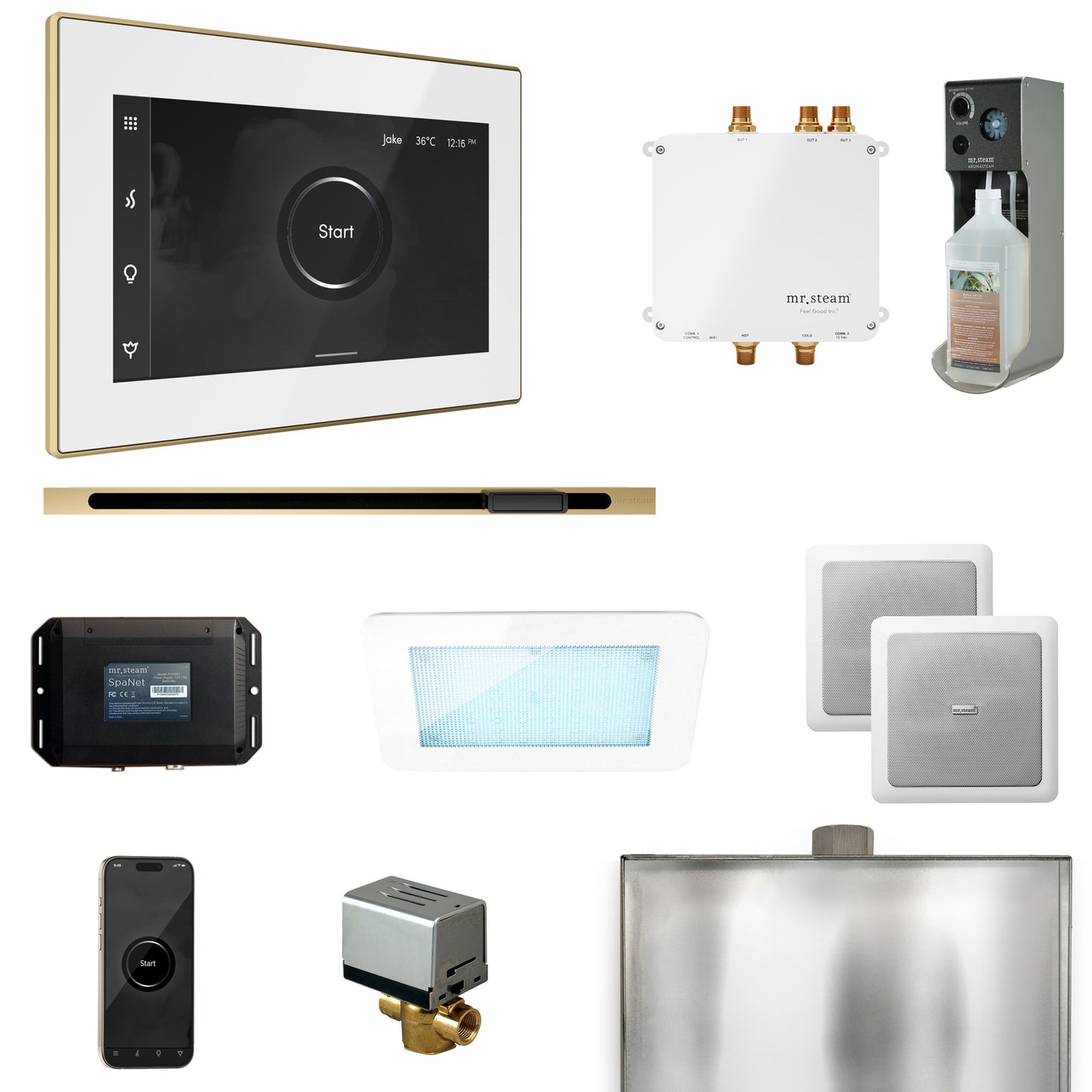 Mr. Steam BLS1-L Bliss Steam Shower Control Package with iSteamX Control and Linear Steamhead