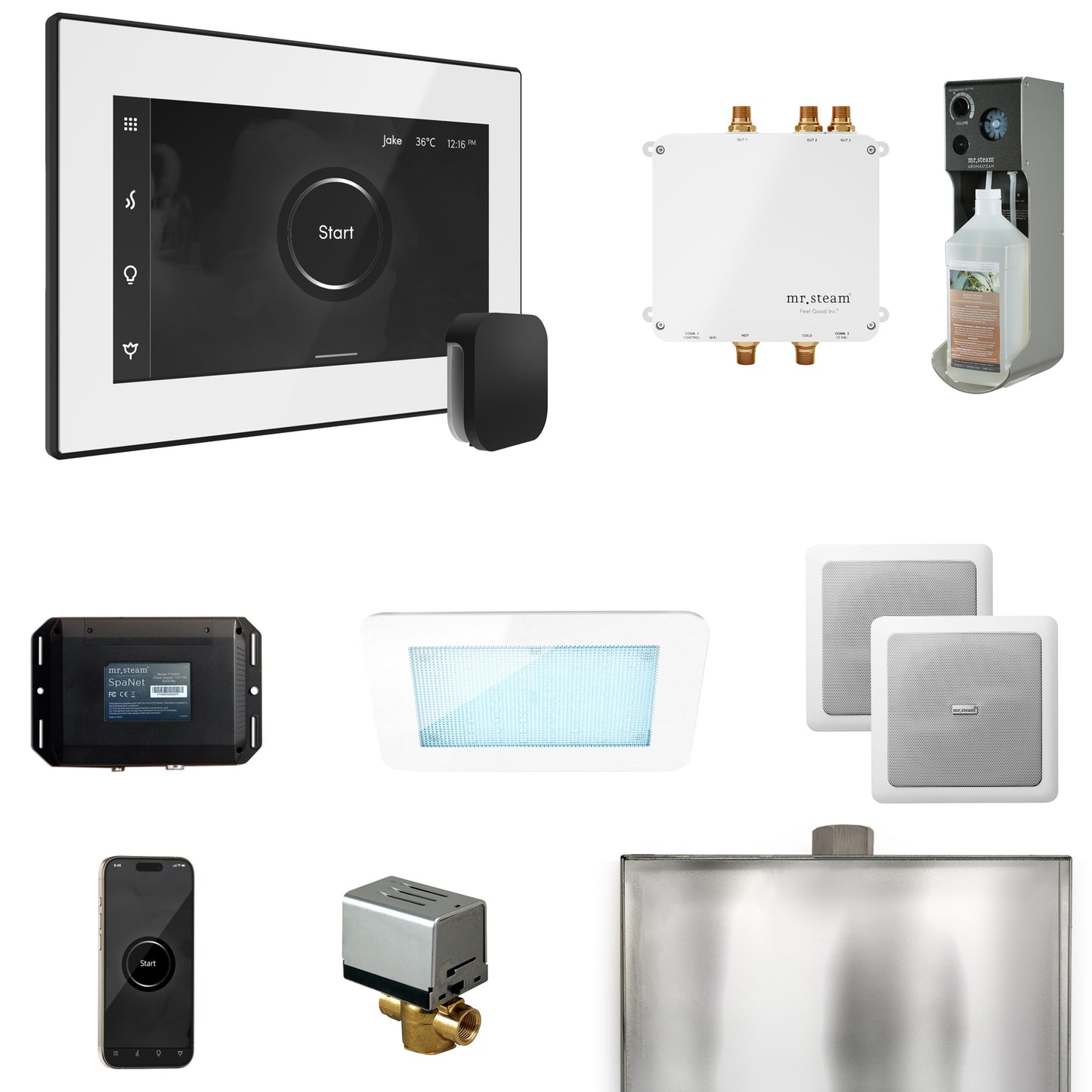 Mr. Steam BLS1 Bliss Steam Shower Control Package with iSteamX Control and Steamhead