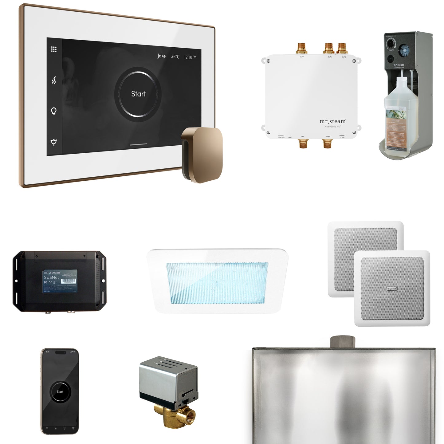 Mr. Steam BLS1 Bliss Steam Shower Control Package with iSteamX Control and Steamhead