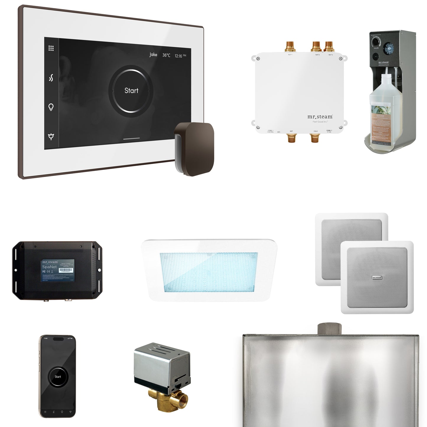 Mr. Steam BLS1 Bliss Steam Shower Control Package with iSteamX Control and Steamhead