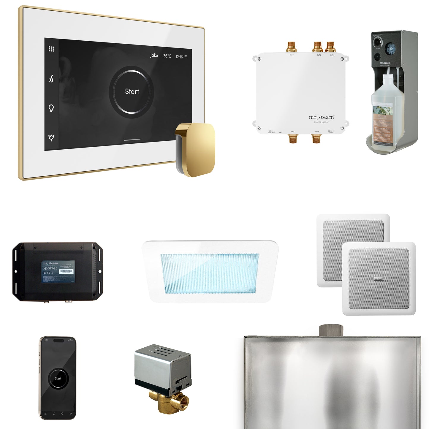 Mr. Steam BLS1 Bliss Steam Shower Control Package with iSteamX Control and Steamhead