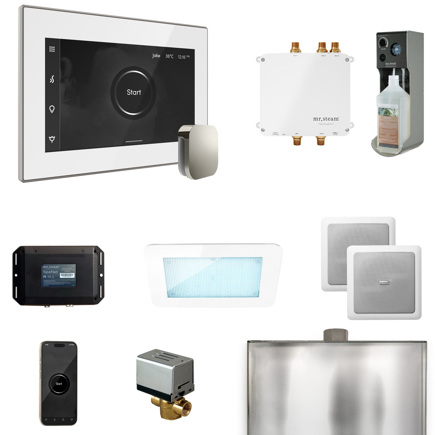 Mr. Steam BLS1 Bliss Steam Shower Control Package with iSteamX Control and Steamhead