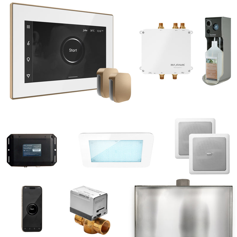 Mr. Steam BLS1-X Bliss Max Steam Shower Control Package with iSteamX Control and Steamhead
