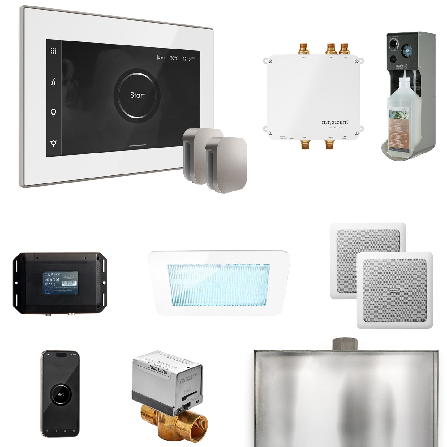 Mr. Steam BLS1-X Bliss Max Steam Shower Control Package with iSteamX Control and Steamhead