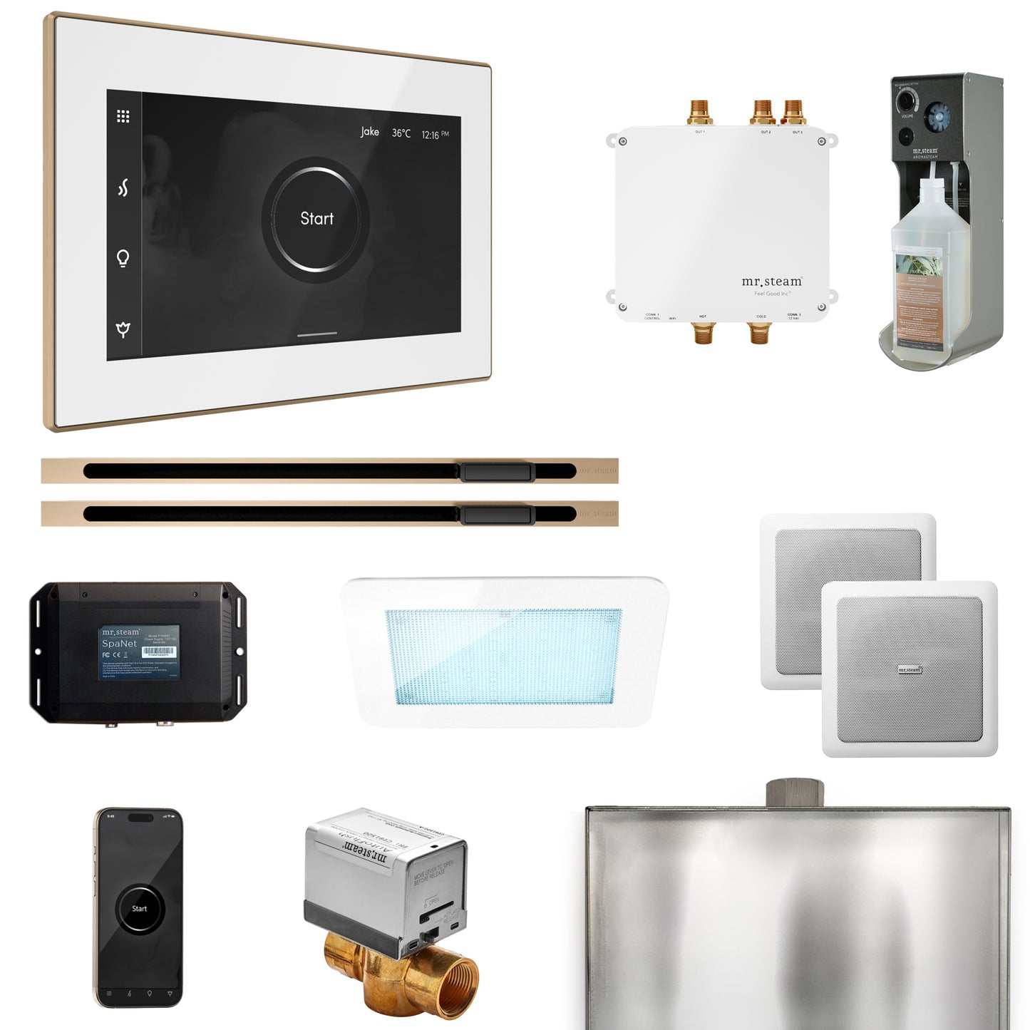 Mr. Steam BLS1-XL Bliss Max Steam Shower Control Package with iSteamX Control and Linear Steamhead