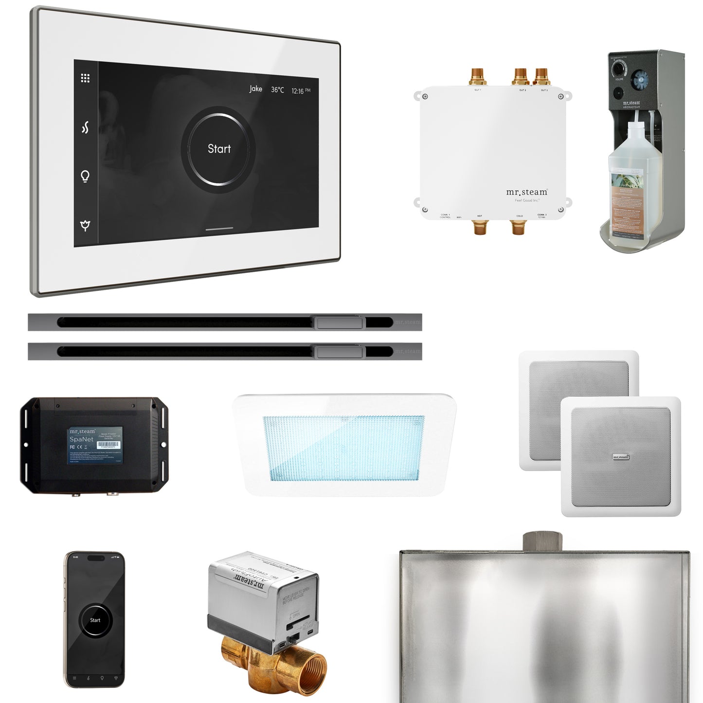 Mr. Steam BLS1-XL Bliss Max Steam Shower Control Package with iSteamX Control and Linear Steamhead