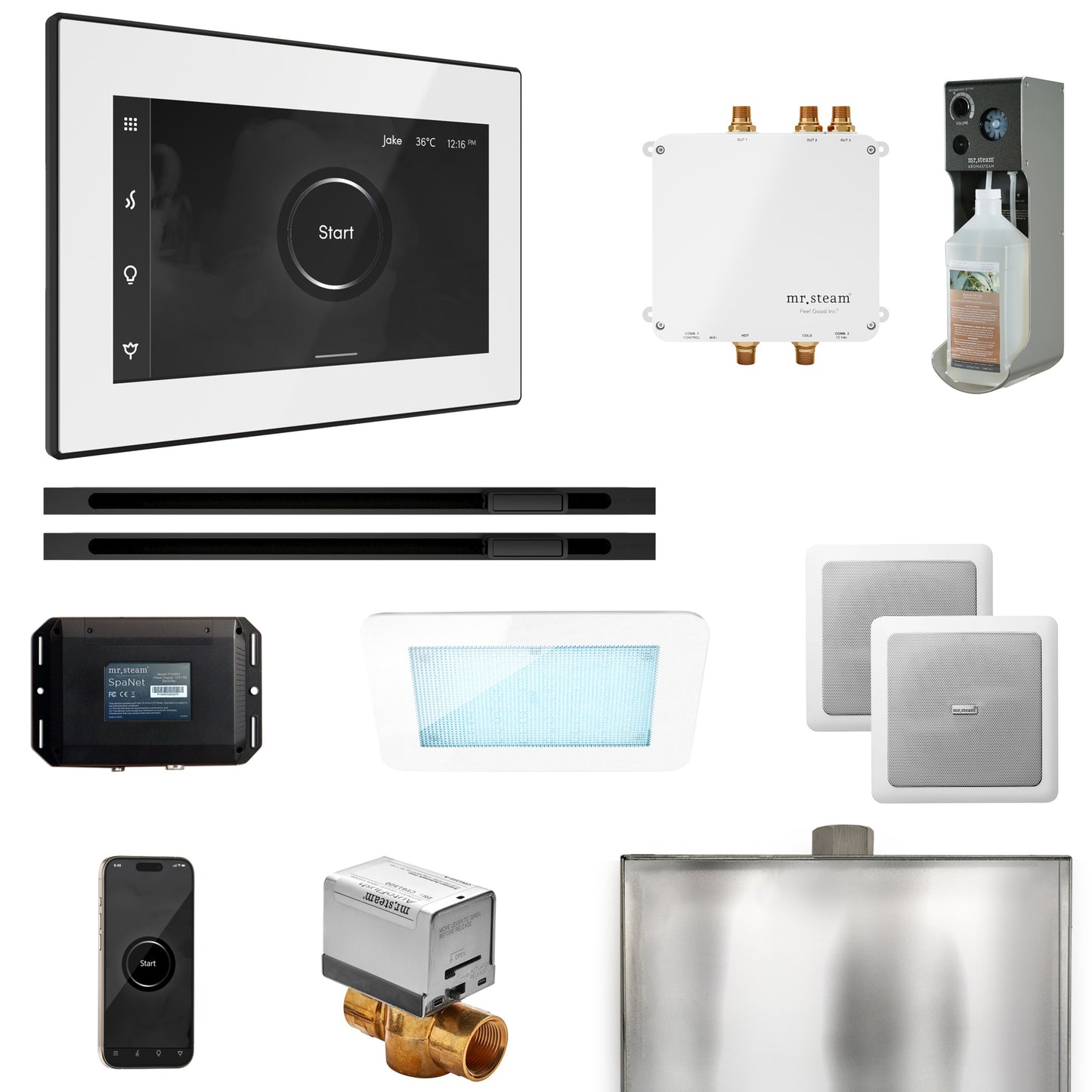 Mr. Steam BLS1-XL Bliss Max Steam Shower Control Package with iSteamX Control and Linear Steamhead