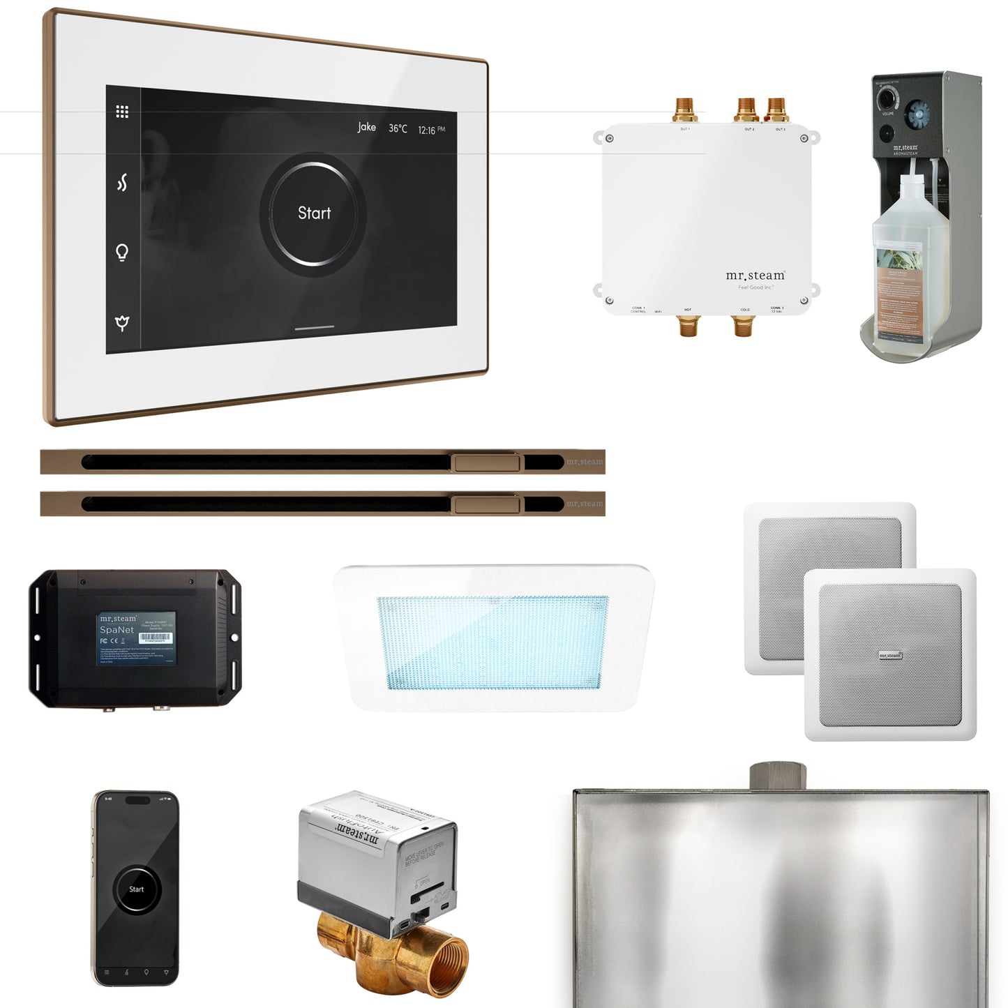 Mr. Steam BLS1-XL Bliss Max Steam Shower Control Package with iSteamX Control and Linear Steamhead