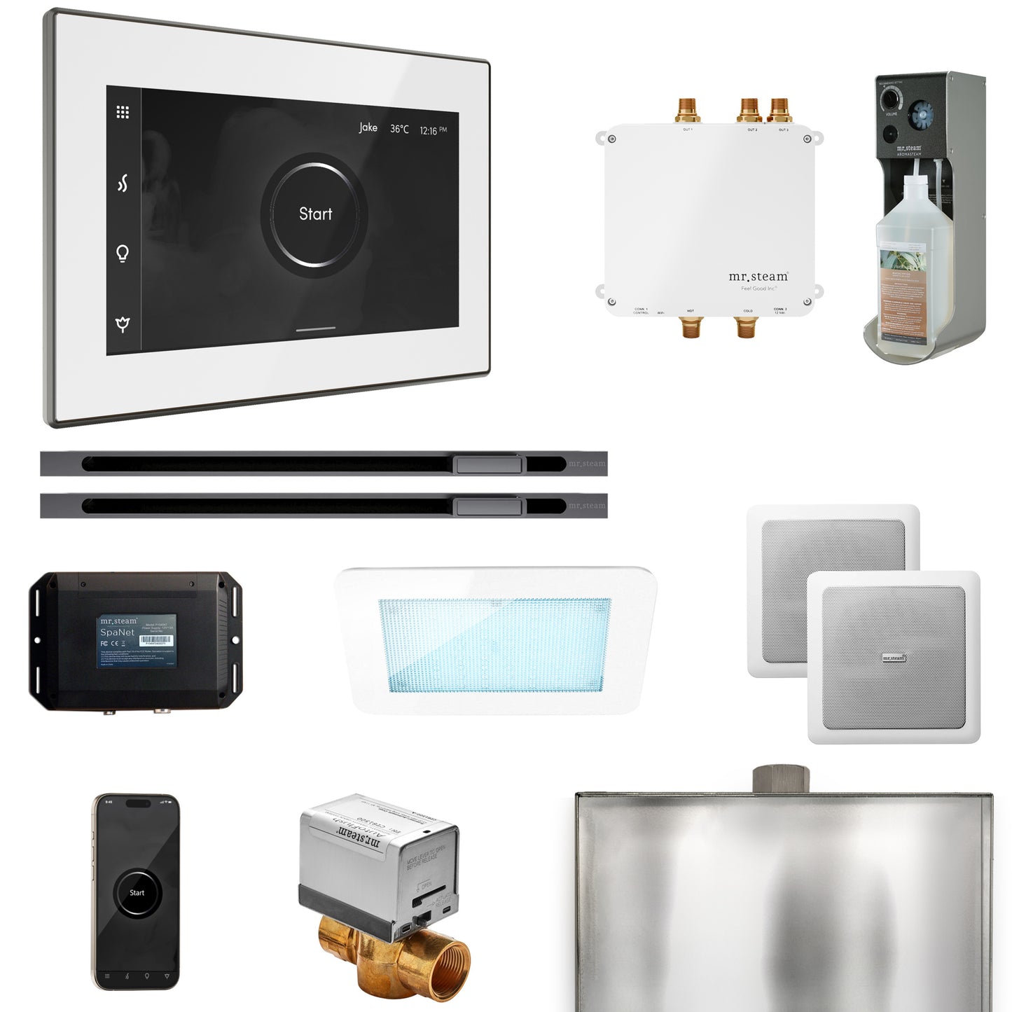 Mr. Steam BLS1-XL Bliss Max Steam Shower Control Package with iSteamX Control and Linear Steamhead
