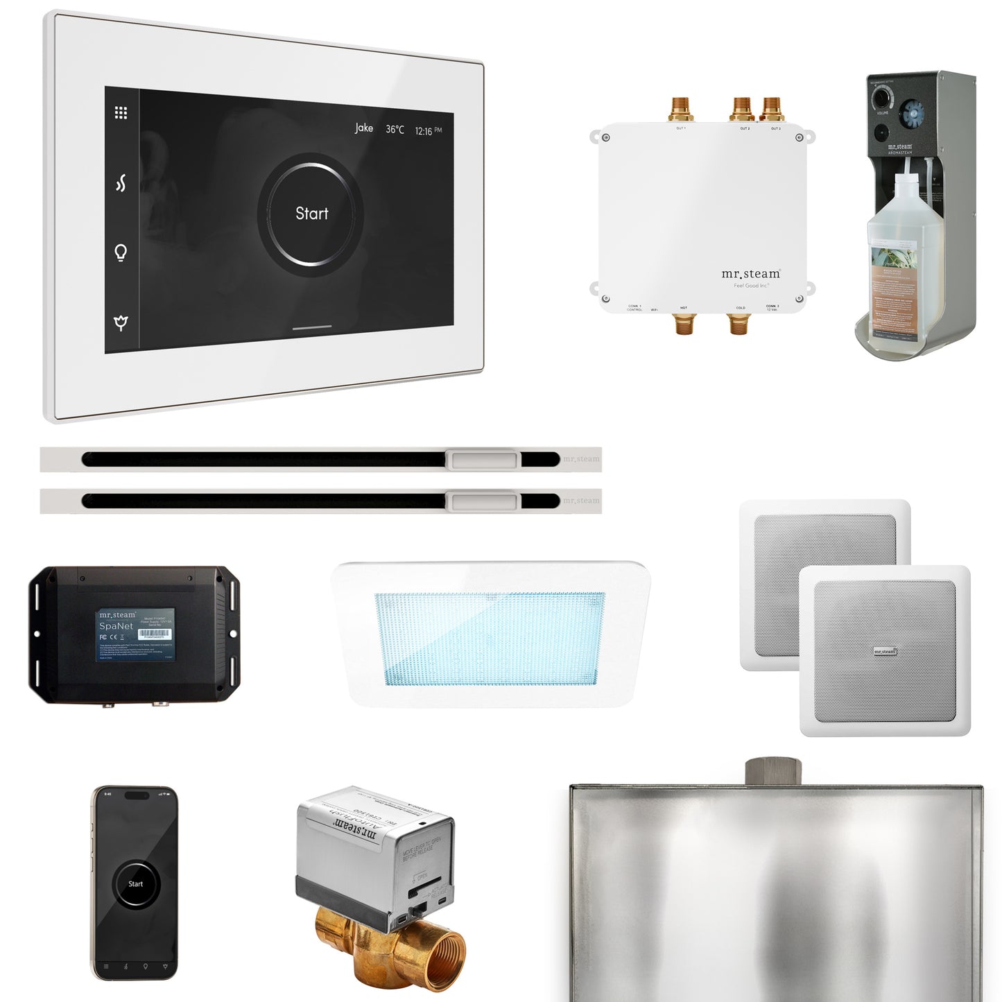 Mr. Steam BLS1-XL Bliss Max Steam Shower Control Package with iSteamX Control and Linear Steamhead