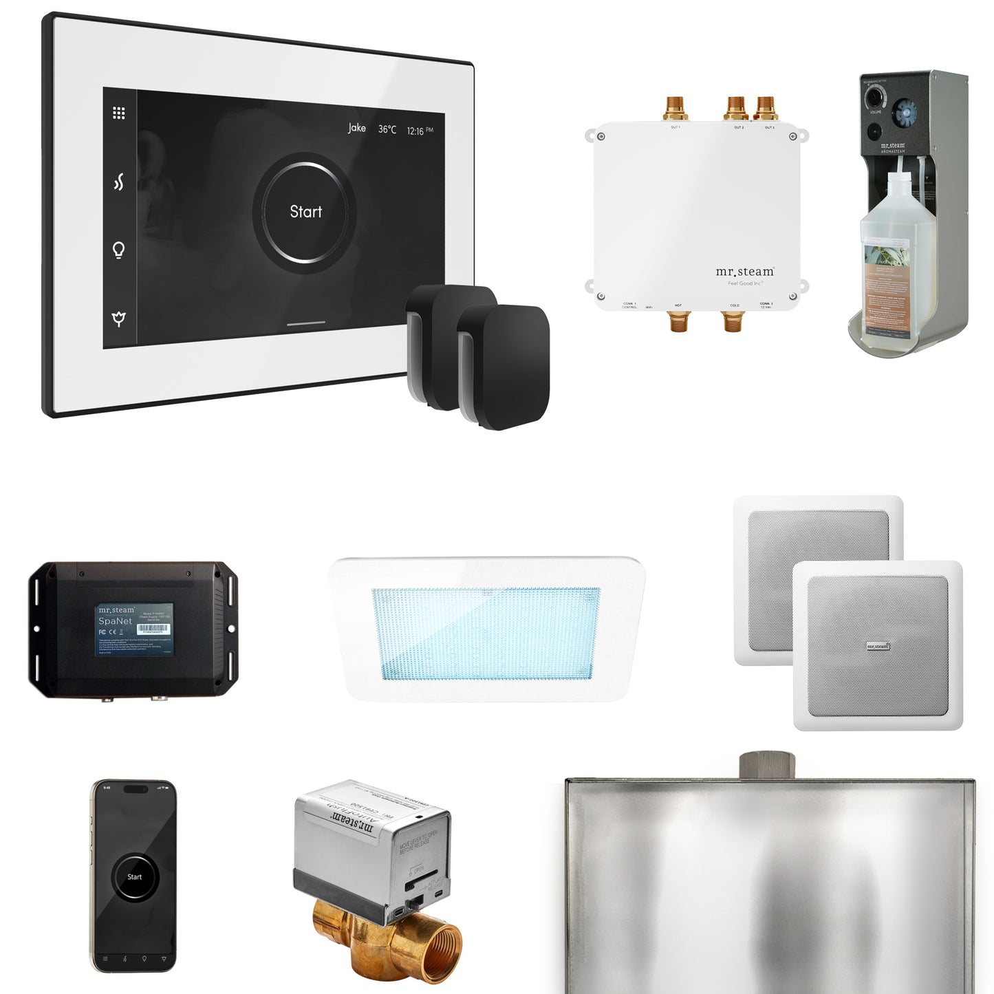Mr. Steam BLS1-X Bliss Max Steam Shower Control Package with iSteamX Control and Steamhead