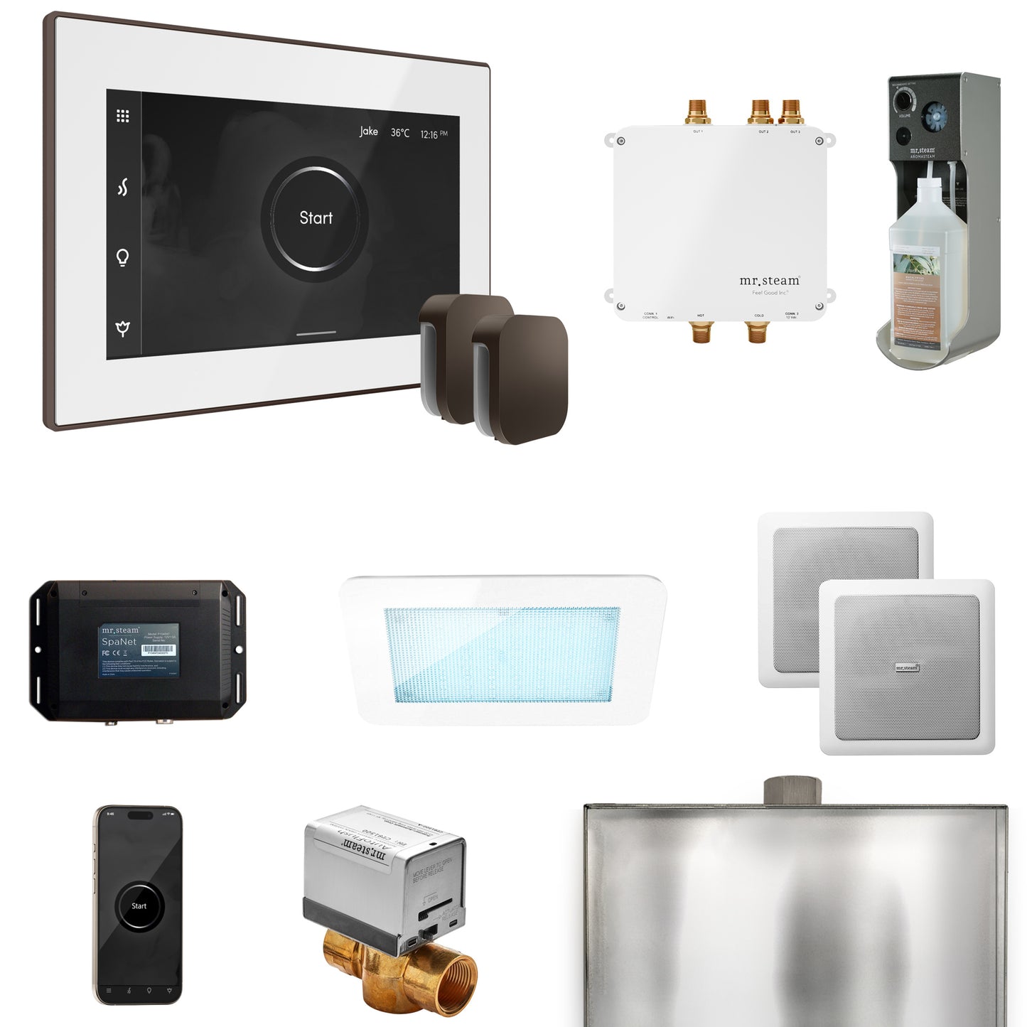 Mr. Steam BLS1-X Bliss Max Steam Shower Control Package with iSteamX Control and Steamhead