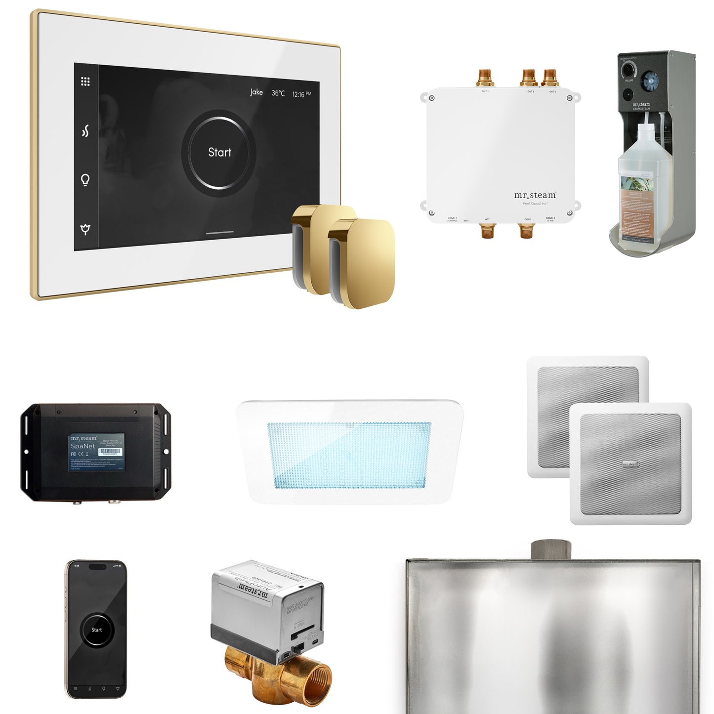 Mr. Steam BLS1-X Bliss Max Steam Shower Control Package with iSteamX Control and Steamhead