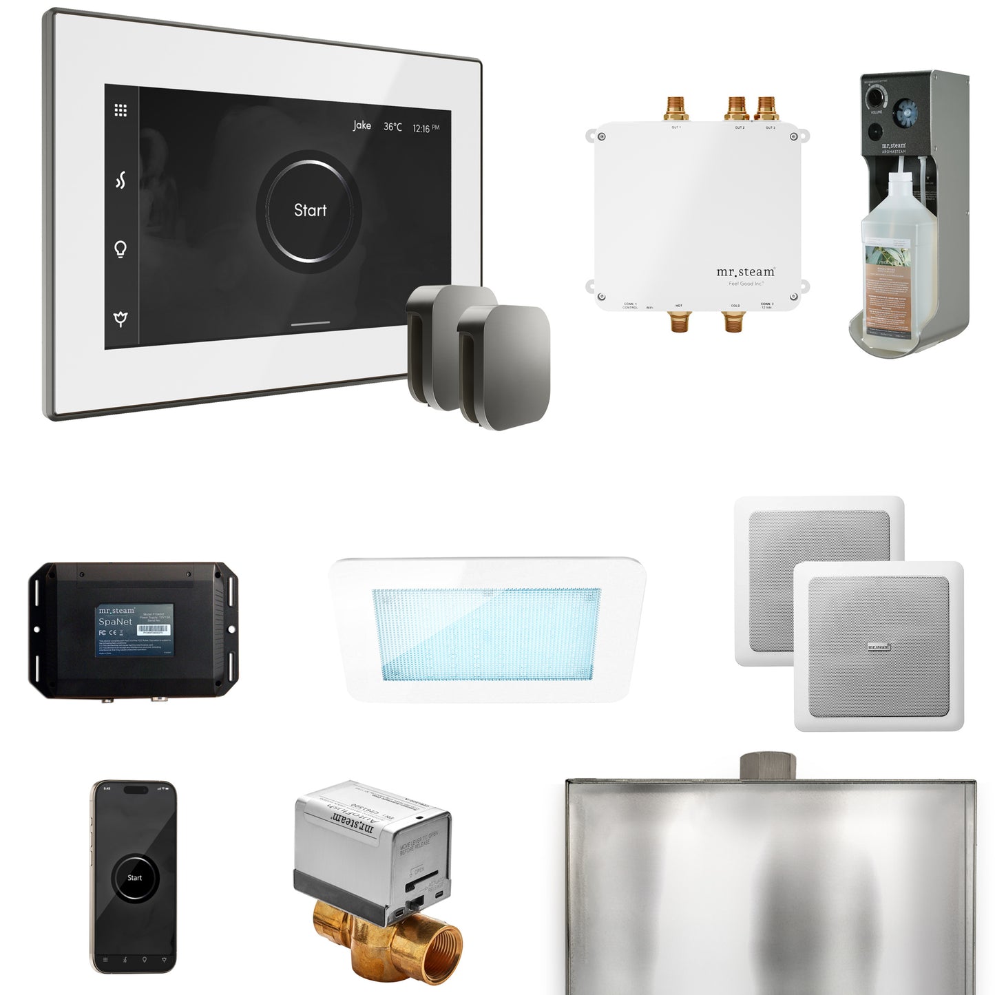 Mr. Steam BLS1-X Bliss Max Steam Shower Control Package with iSteamX Control and Steamhead